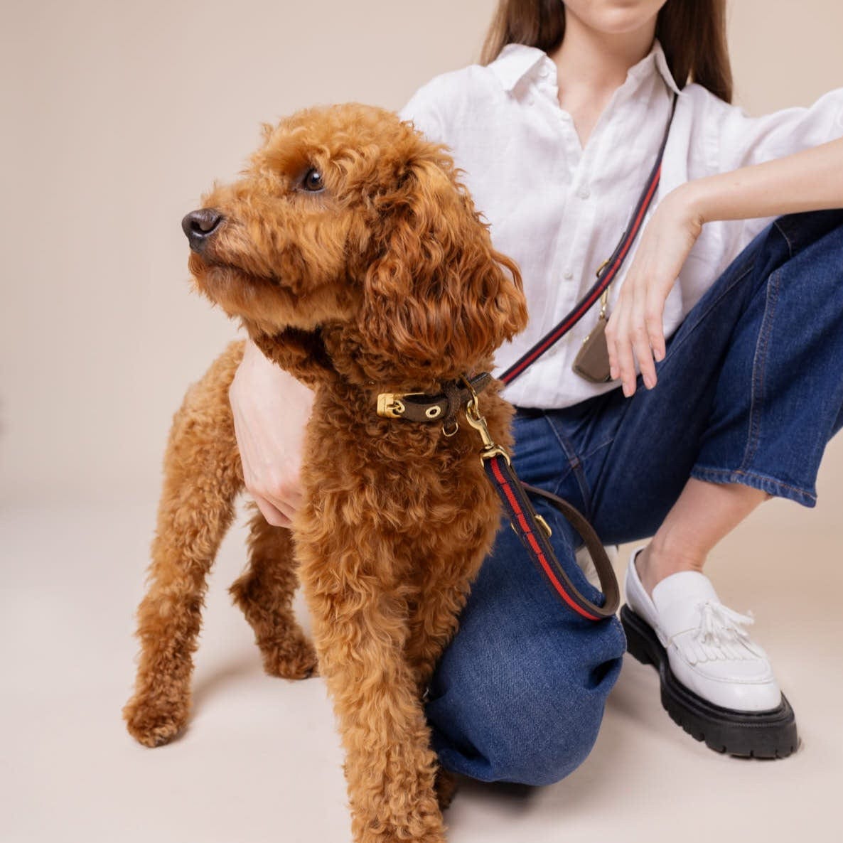 William Walker Hochwertige Leder Hundeleine Charles // Limited