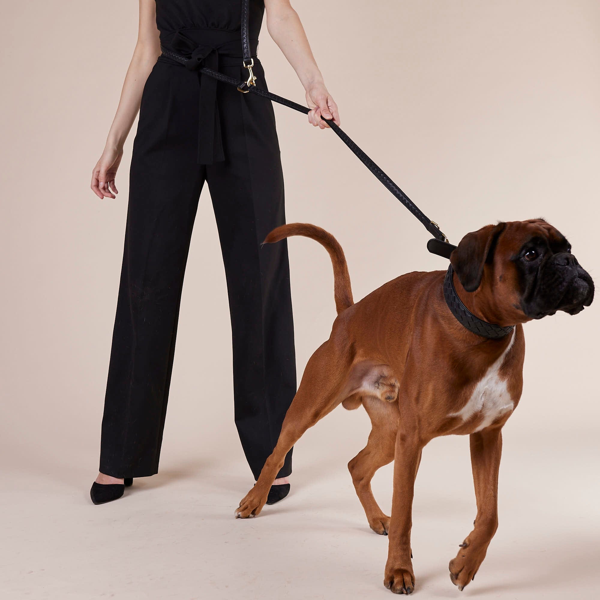 William Walker Hochwertige Leder Hundeleine Prestige Nero (Schwarz)