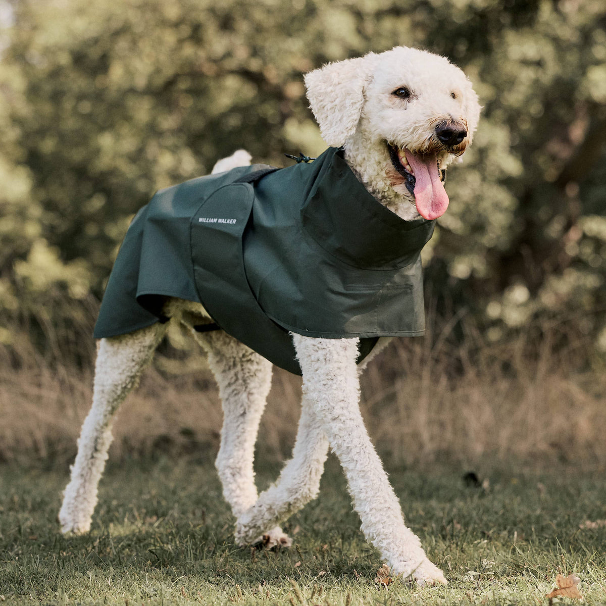 William Walker Impermeable para perro Harbour
