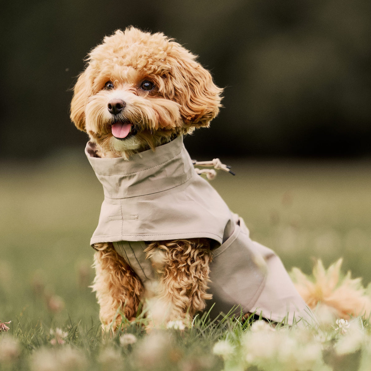 William Walker Impermeable para perro Harbour