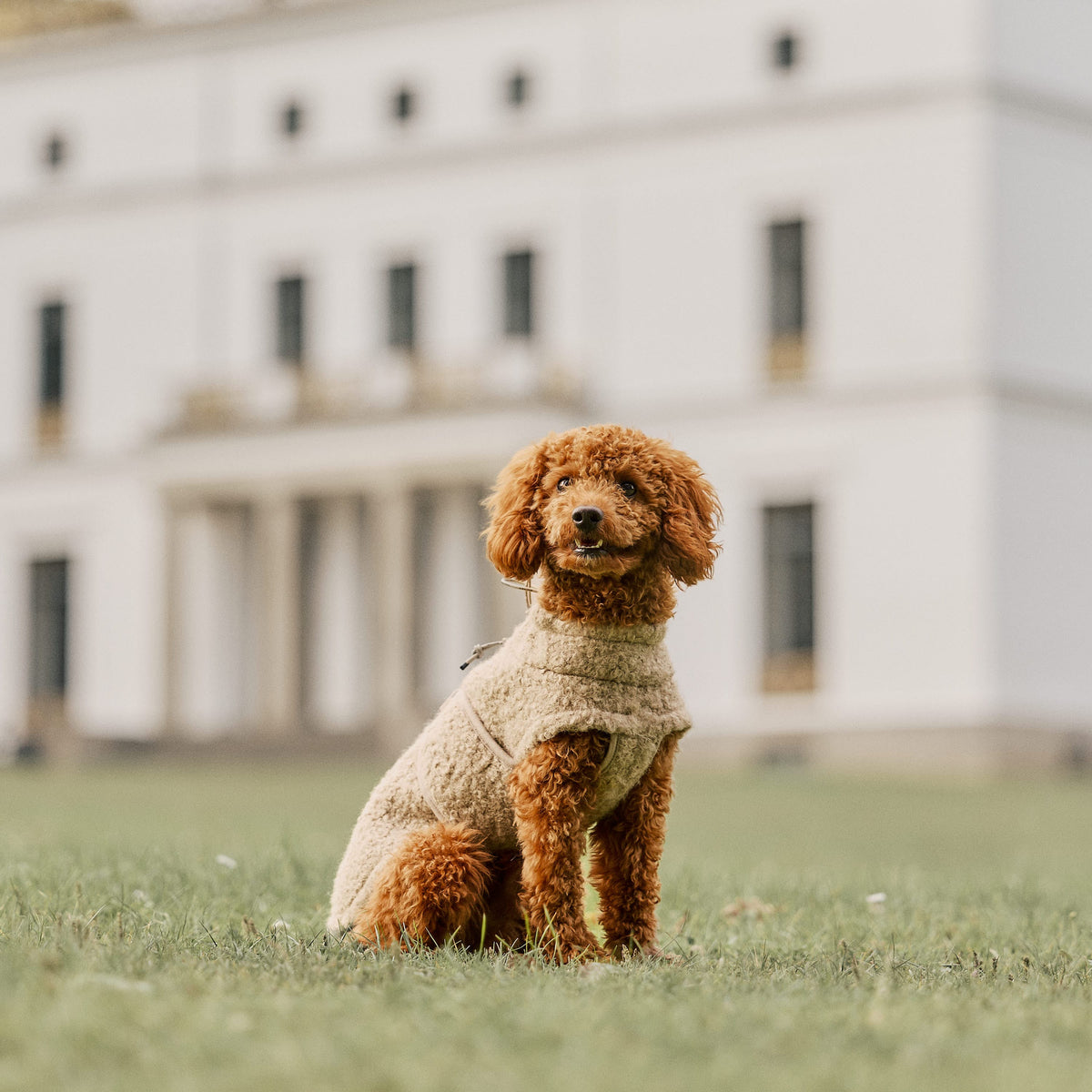 William Walker Cappottino in pile per cani Cozy