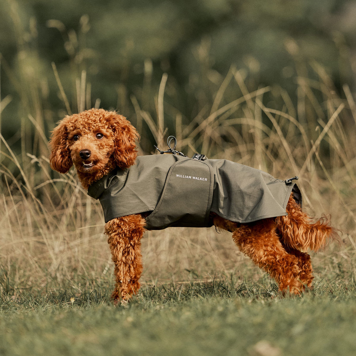 William Walker Impermeable para perro Harbour