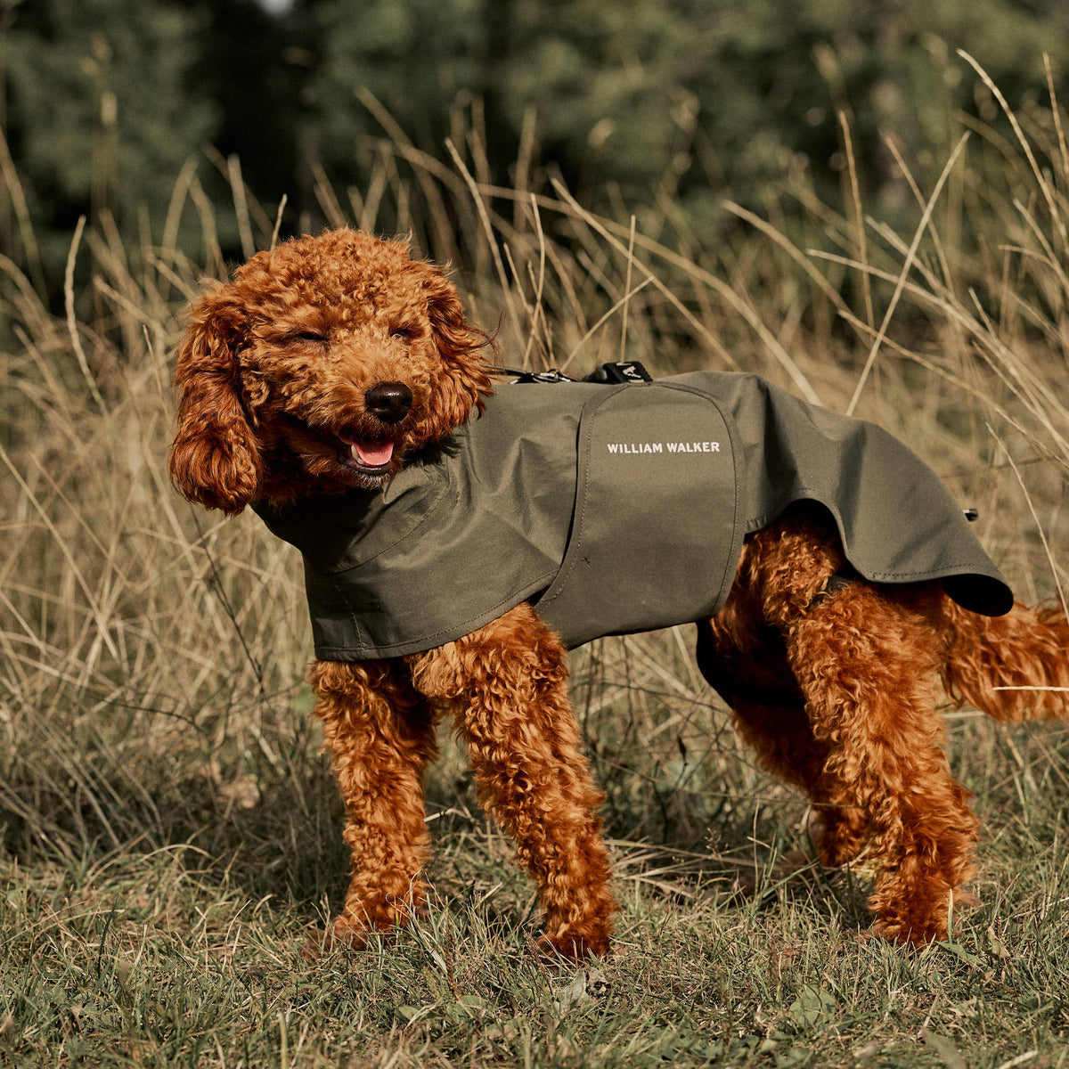 William Walker Impermeable para perro Harbour