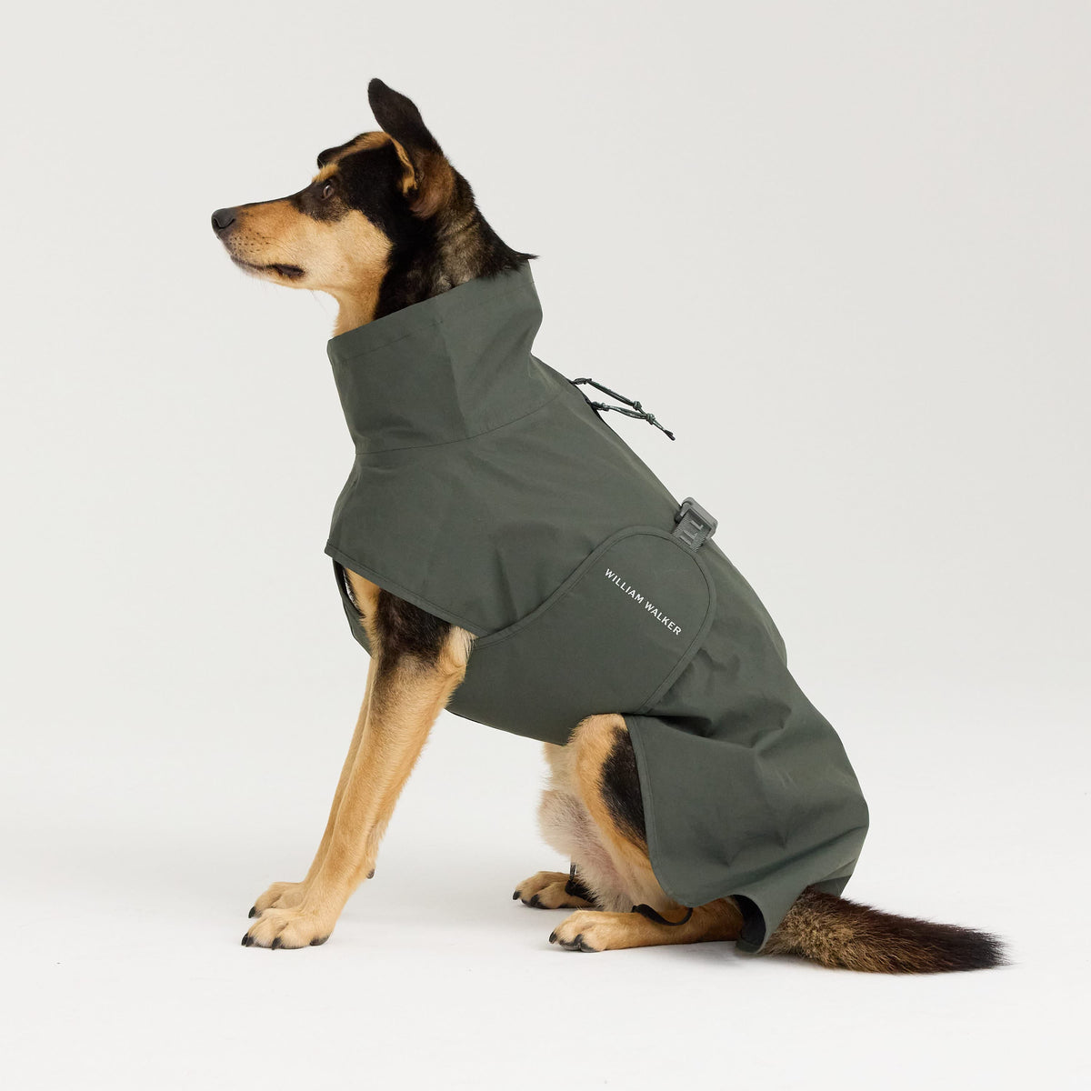 William Walker Impermeable para perro Harbour