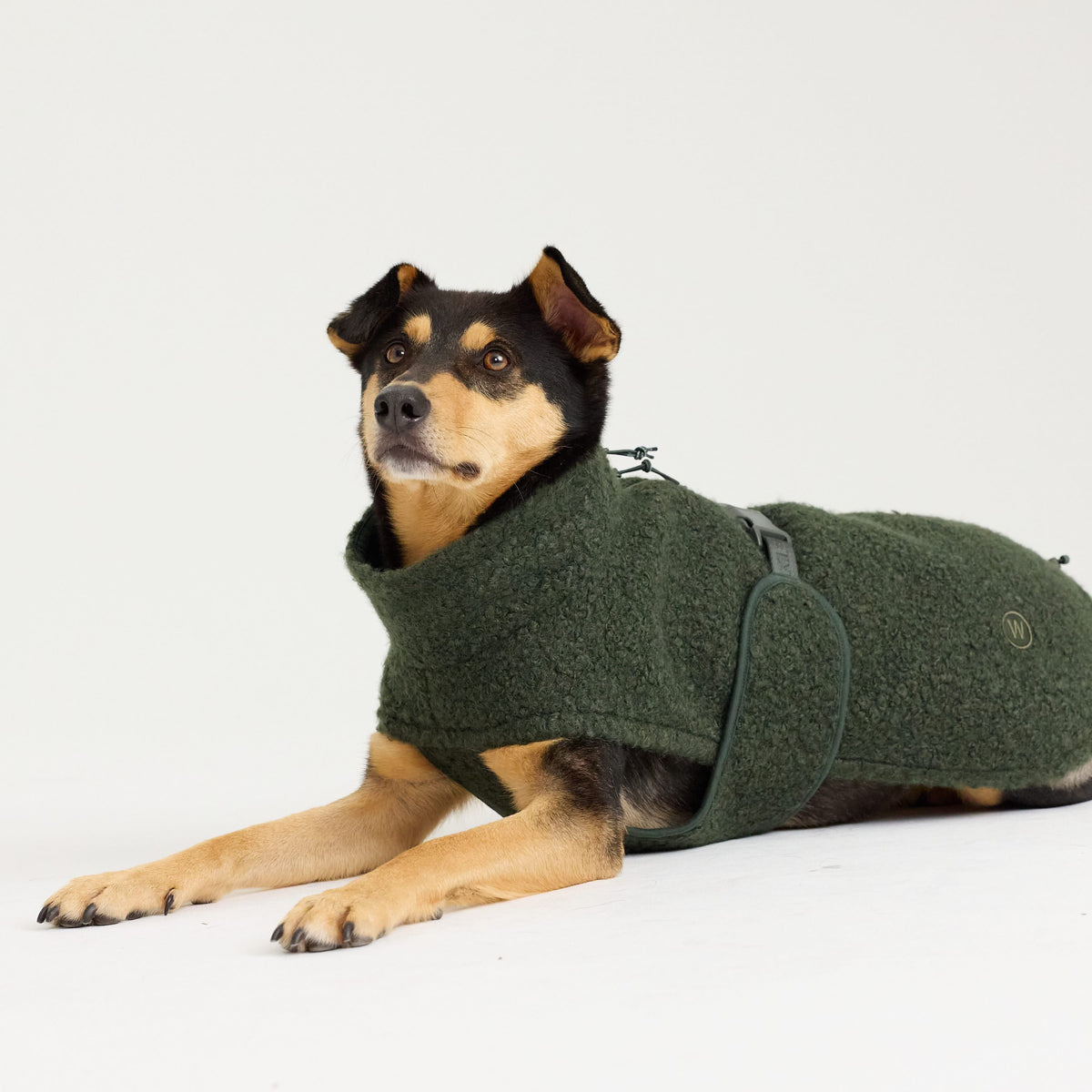 William Walker Cappottino in pile per cani Cozy