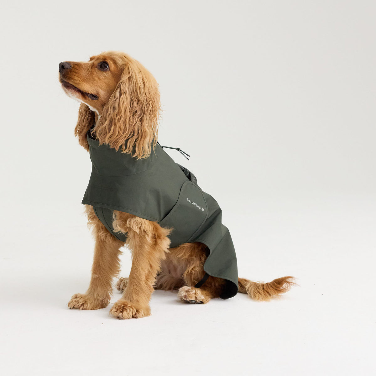 William Walker Impermeable para perro Harbour