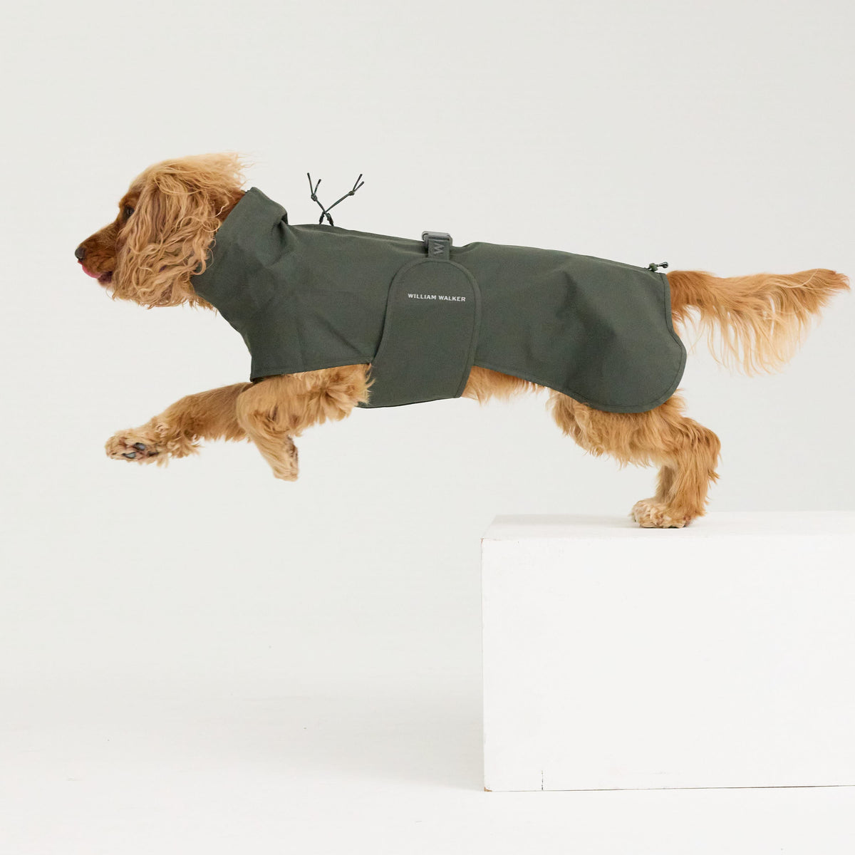 William Walker Impermeable para perro Harbour
