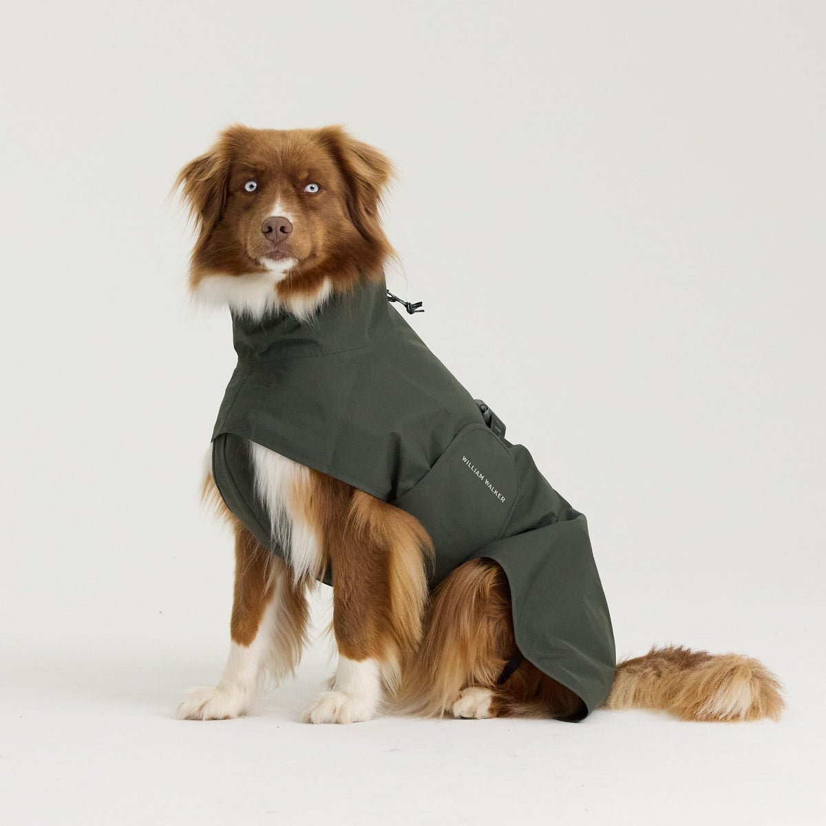 William Walker Impermeable para perro Harbour