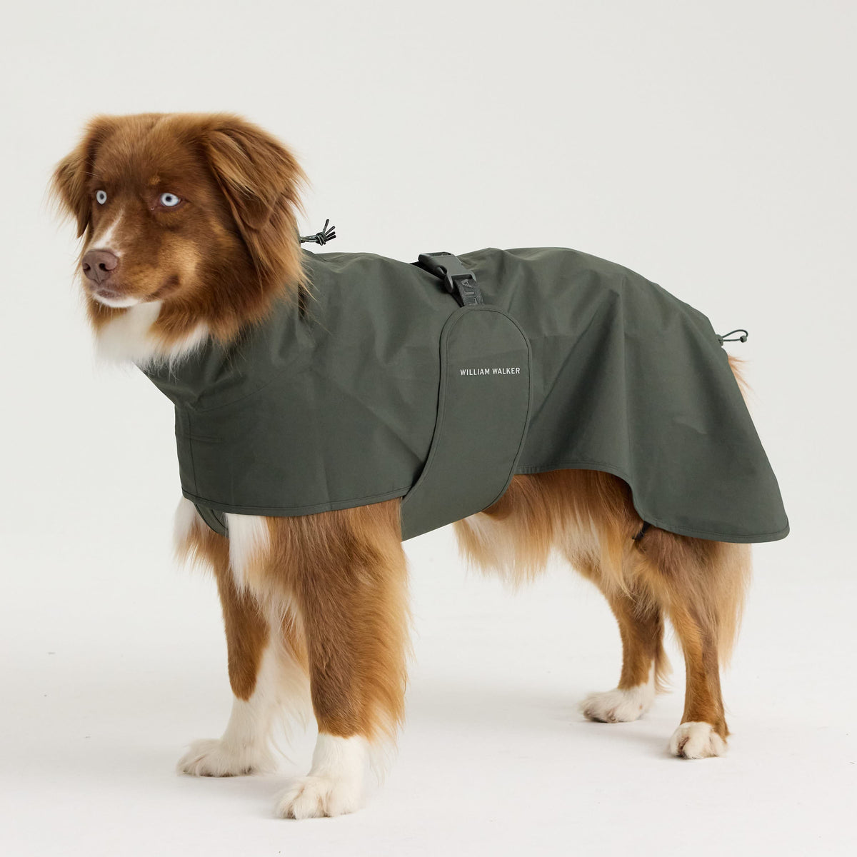 William Walker Impermeable para perro Harbour