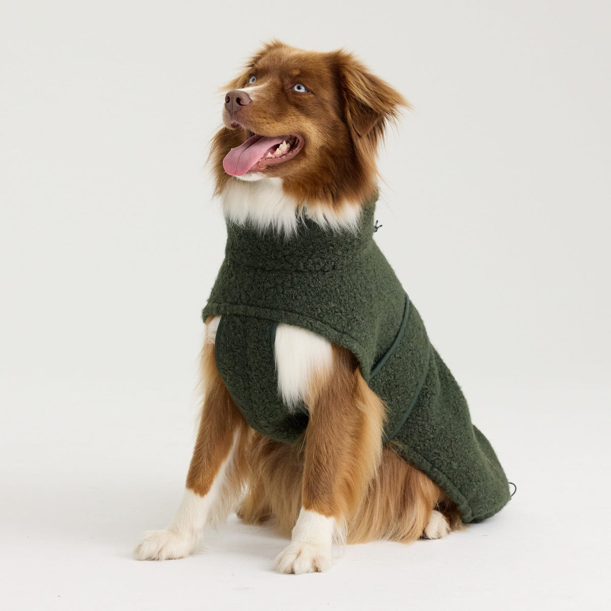 William Walker Cappottino in pile per cani Cozy