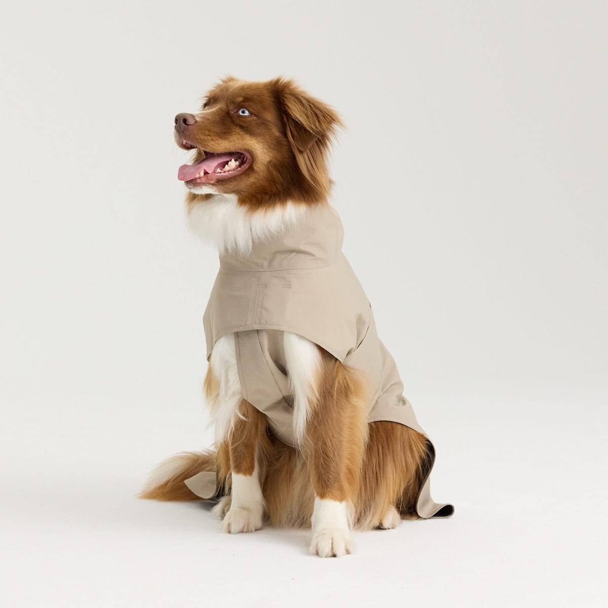 William Walker Impermeable para perro Harbour