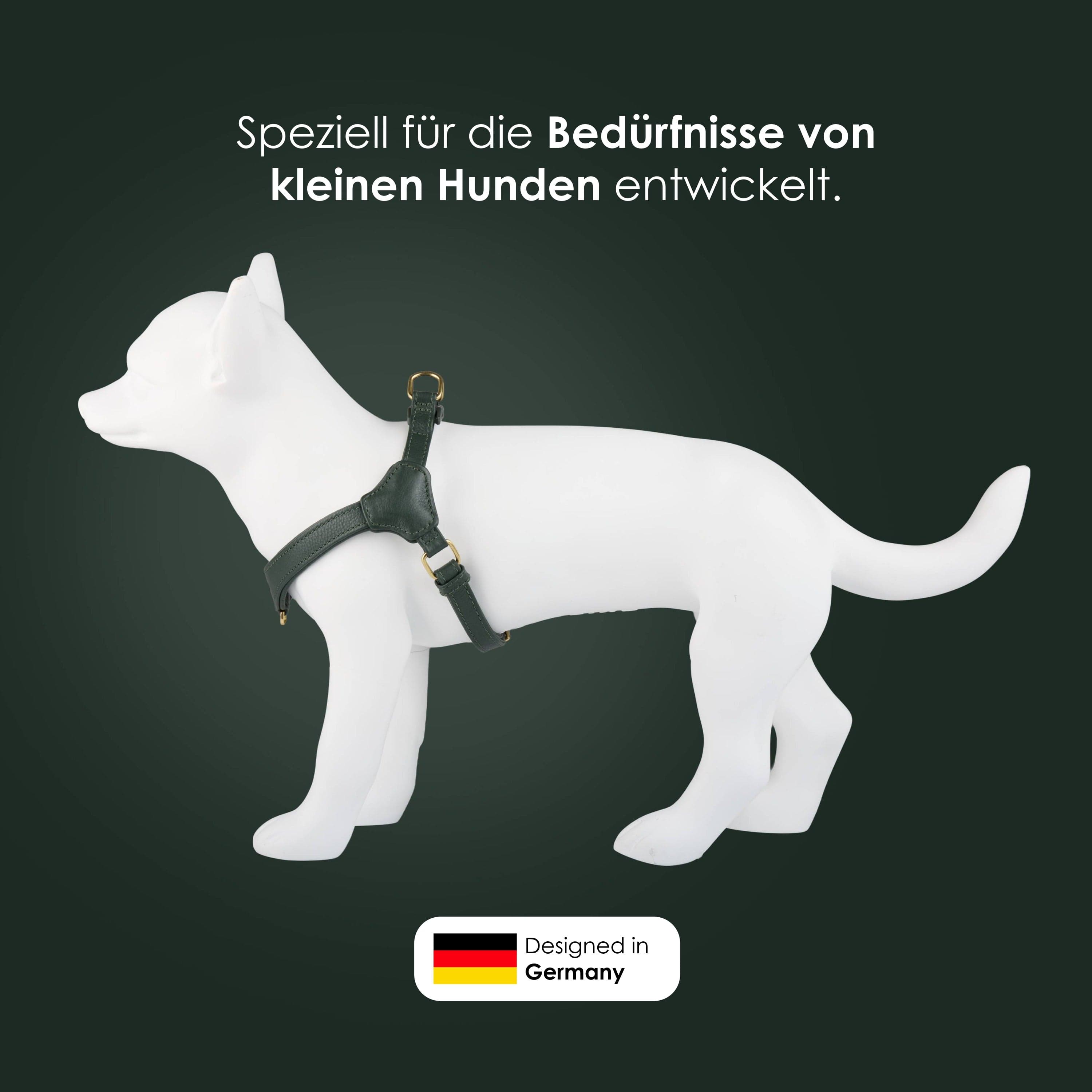 William Walker Step-In Leder Geschirr Pico für kleine Hunde