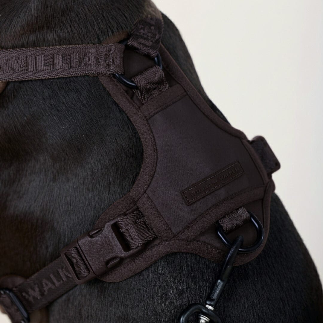 William Walker Hochwertiges Y-Hundegeschirr Earth (braun)