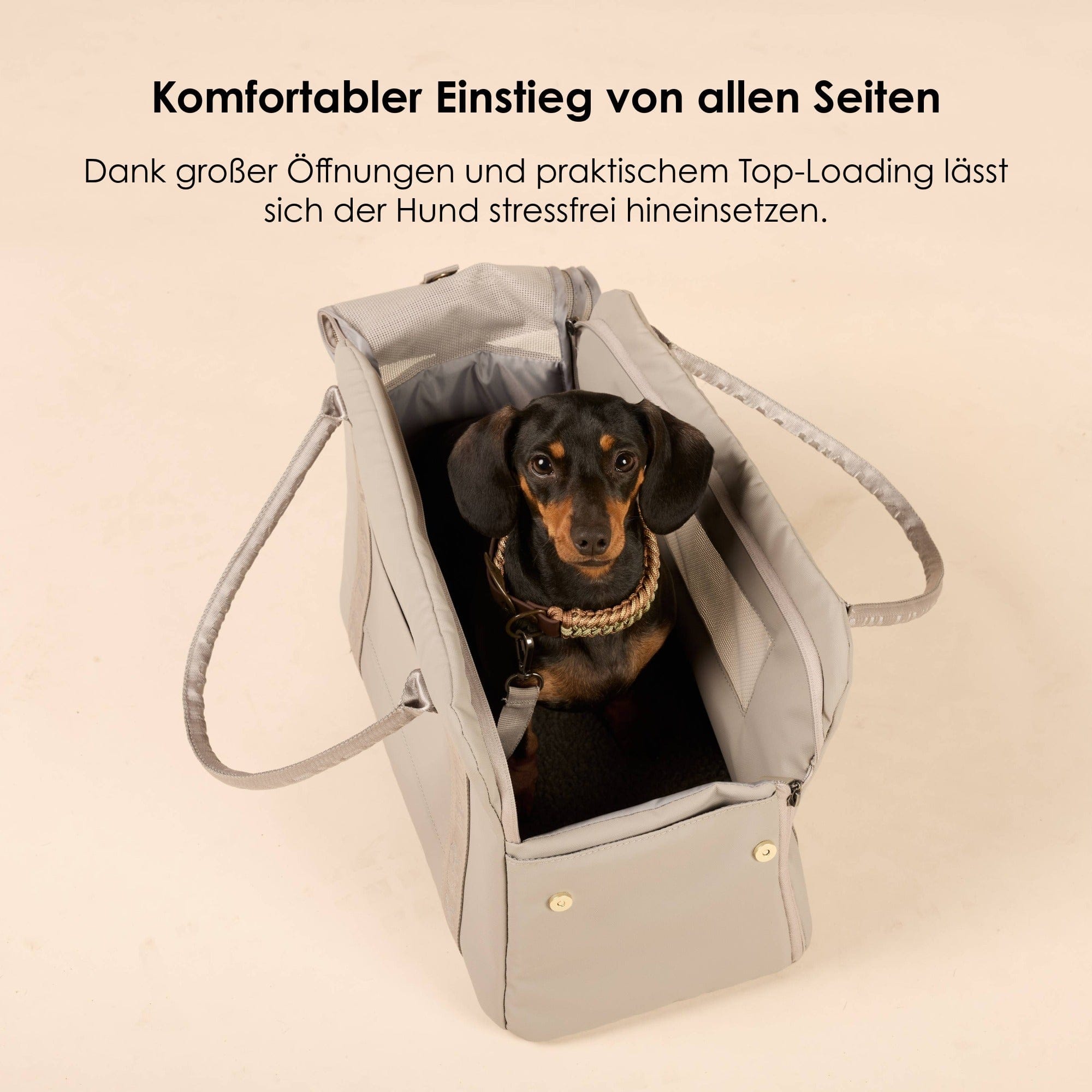 William Walker Hundetragetasche fürs Flugzeug Cloud Summit