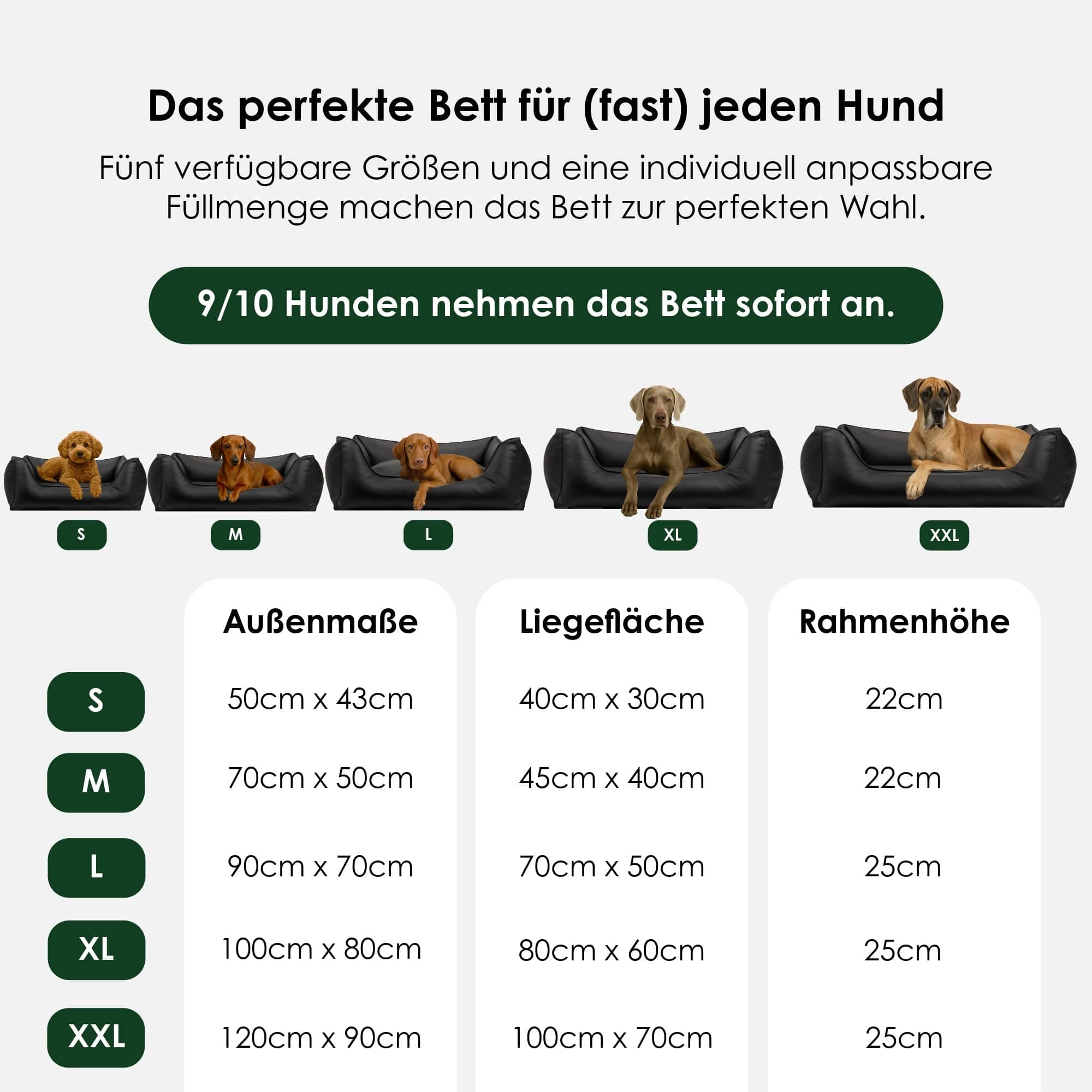 William Walker Orthopädisches Hundebett Easy