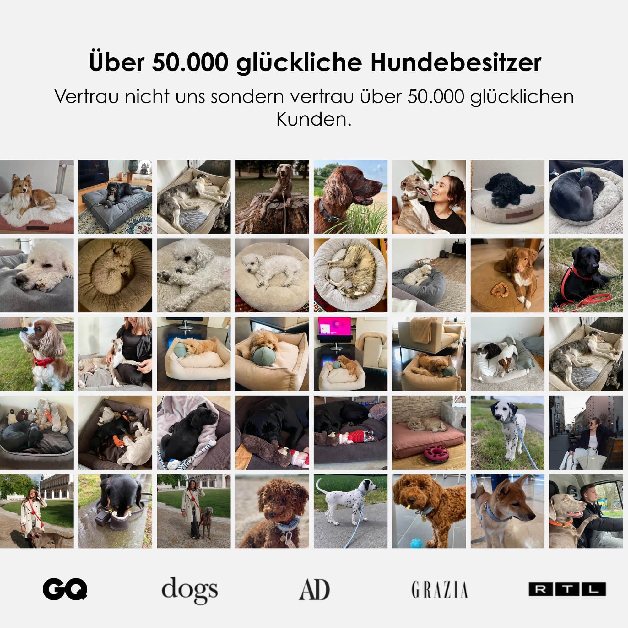 William Walker Orthopädisches Hundebett Easy