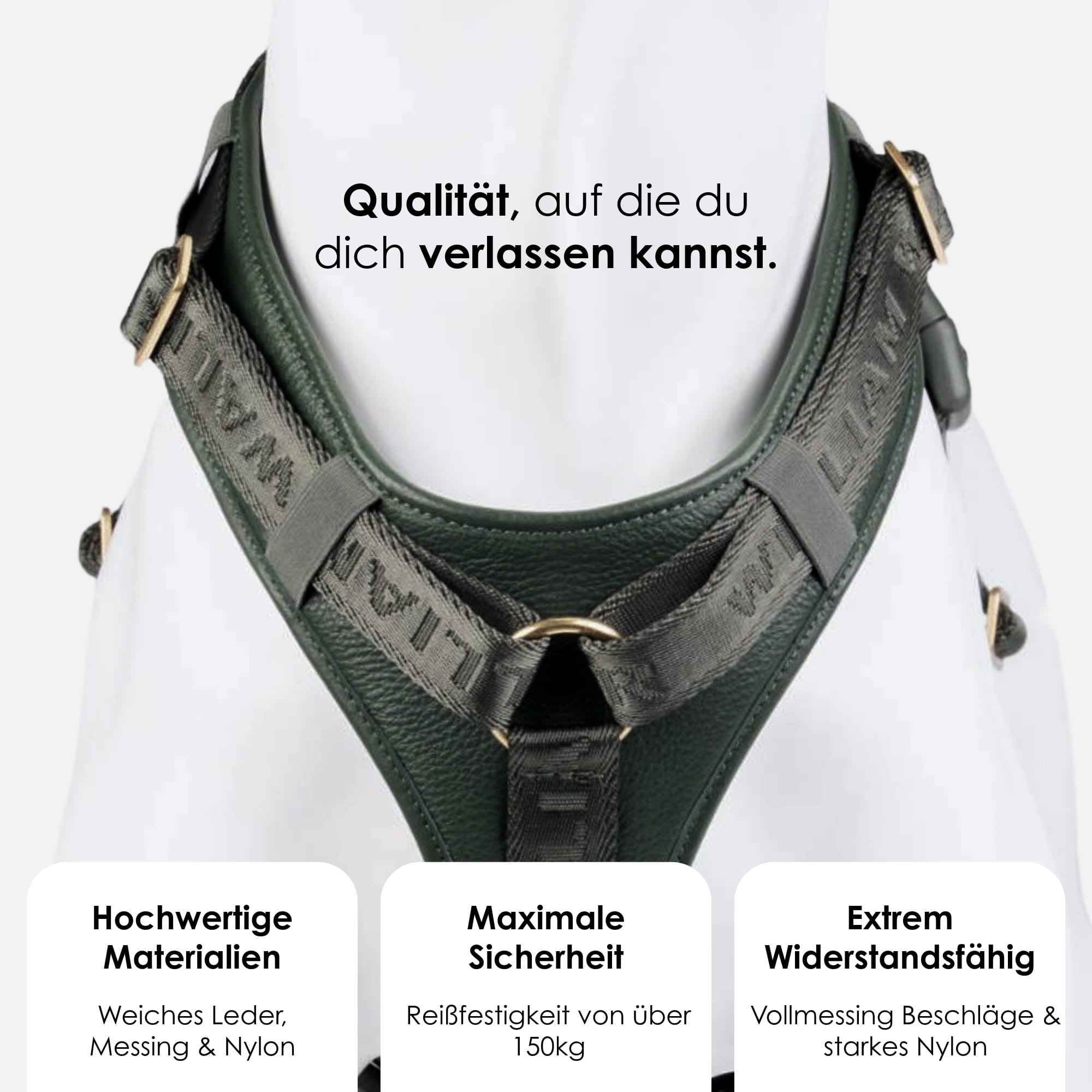 William Walker Leder Y-Hundegeschirr Plain