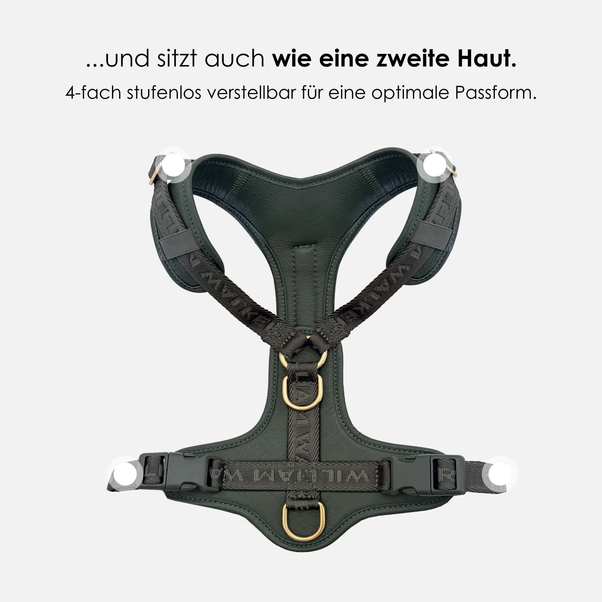 William Walker Leder Y-Hundegeschirr Plain