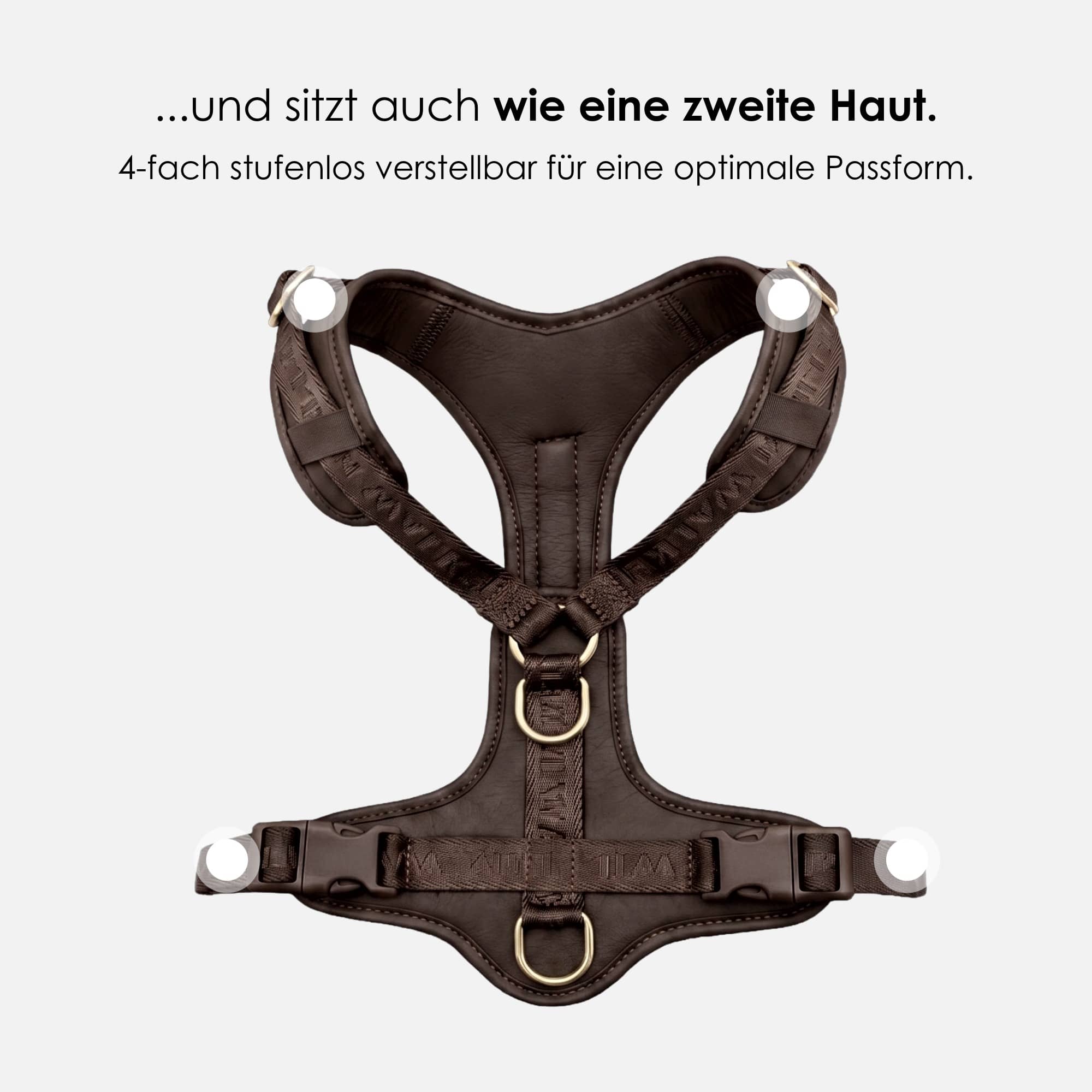 William Walker Leder Y-Hundegeschirr Plain