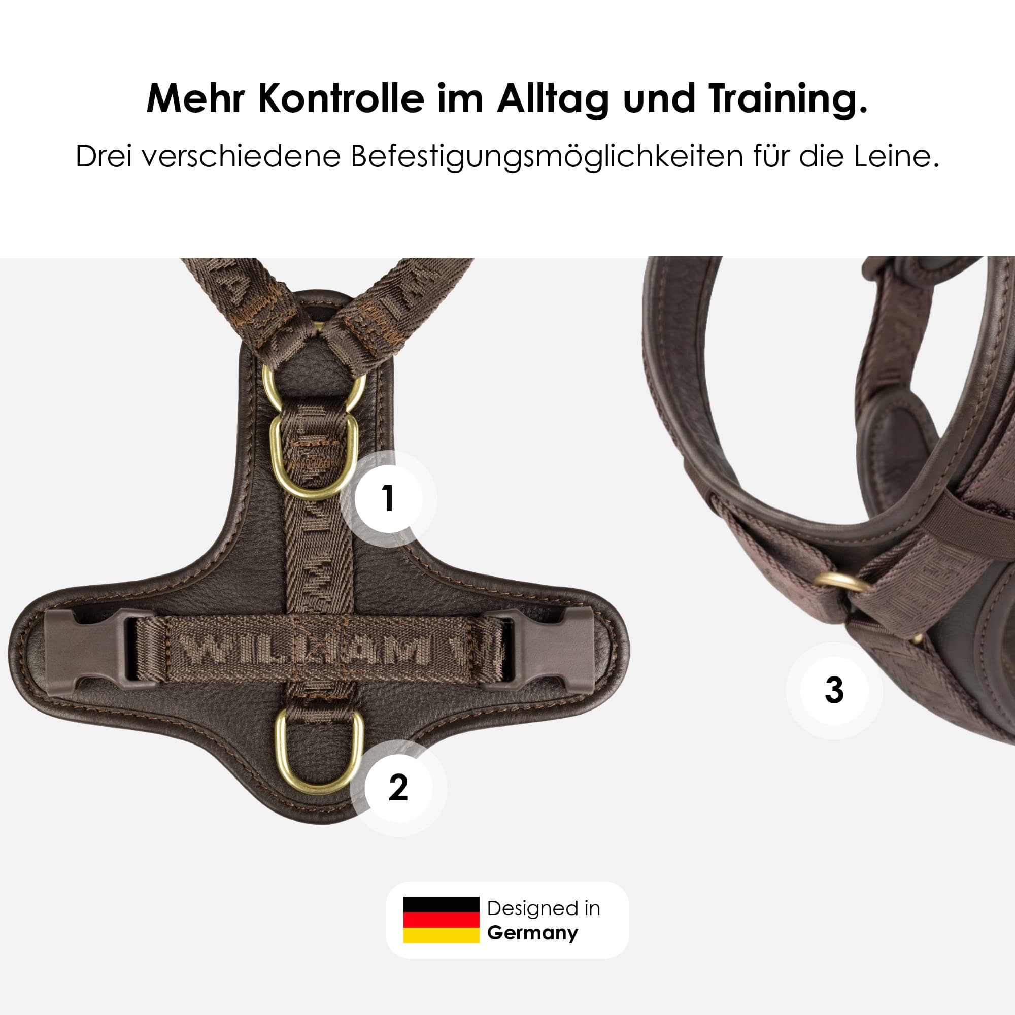 William Walker Leder Y-Hundegeschirr Plain