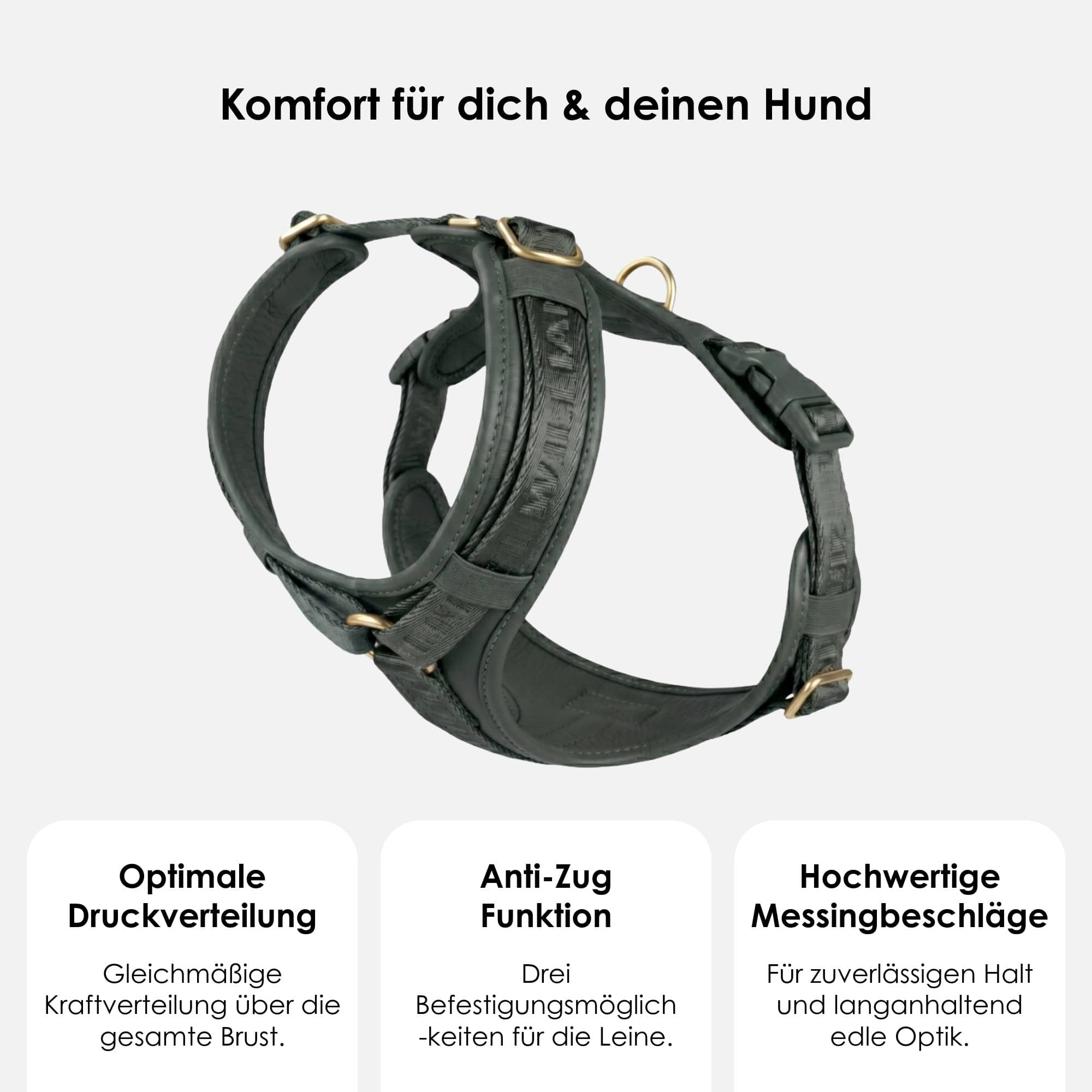 William Walker Leder Y-Hundegeschirr Plain