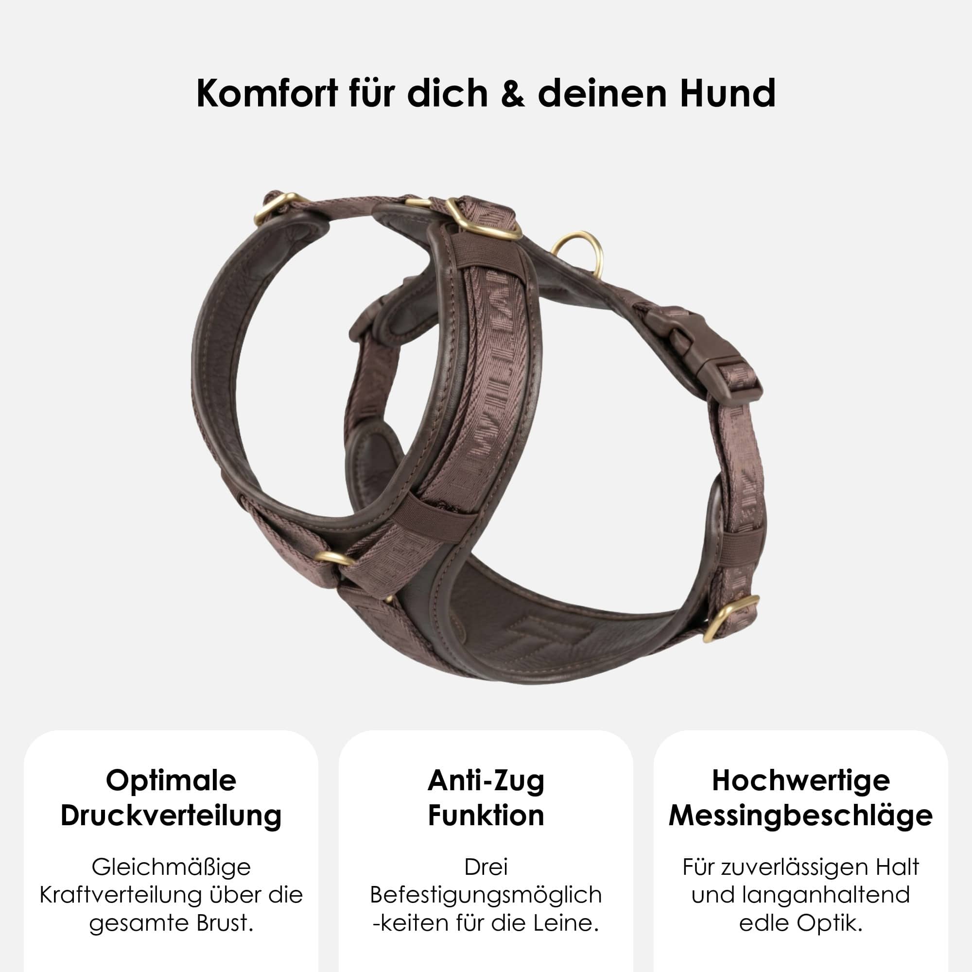 William Walker Leder Y-Hundegeschirr Plain