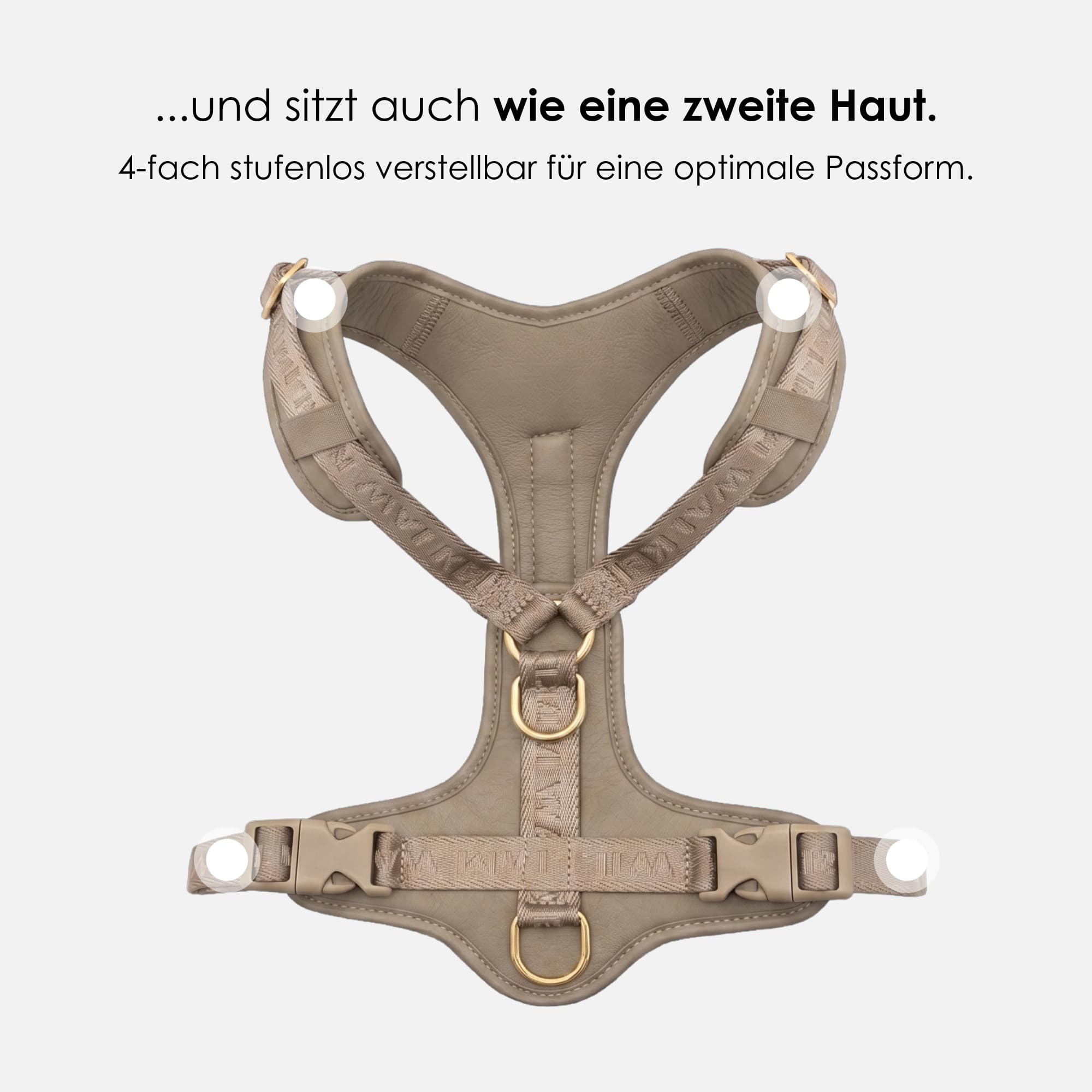 William Walker Leder Y-Hundegeschirr Plain