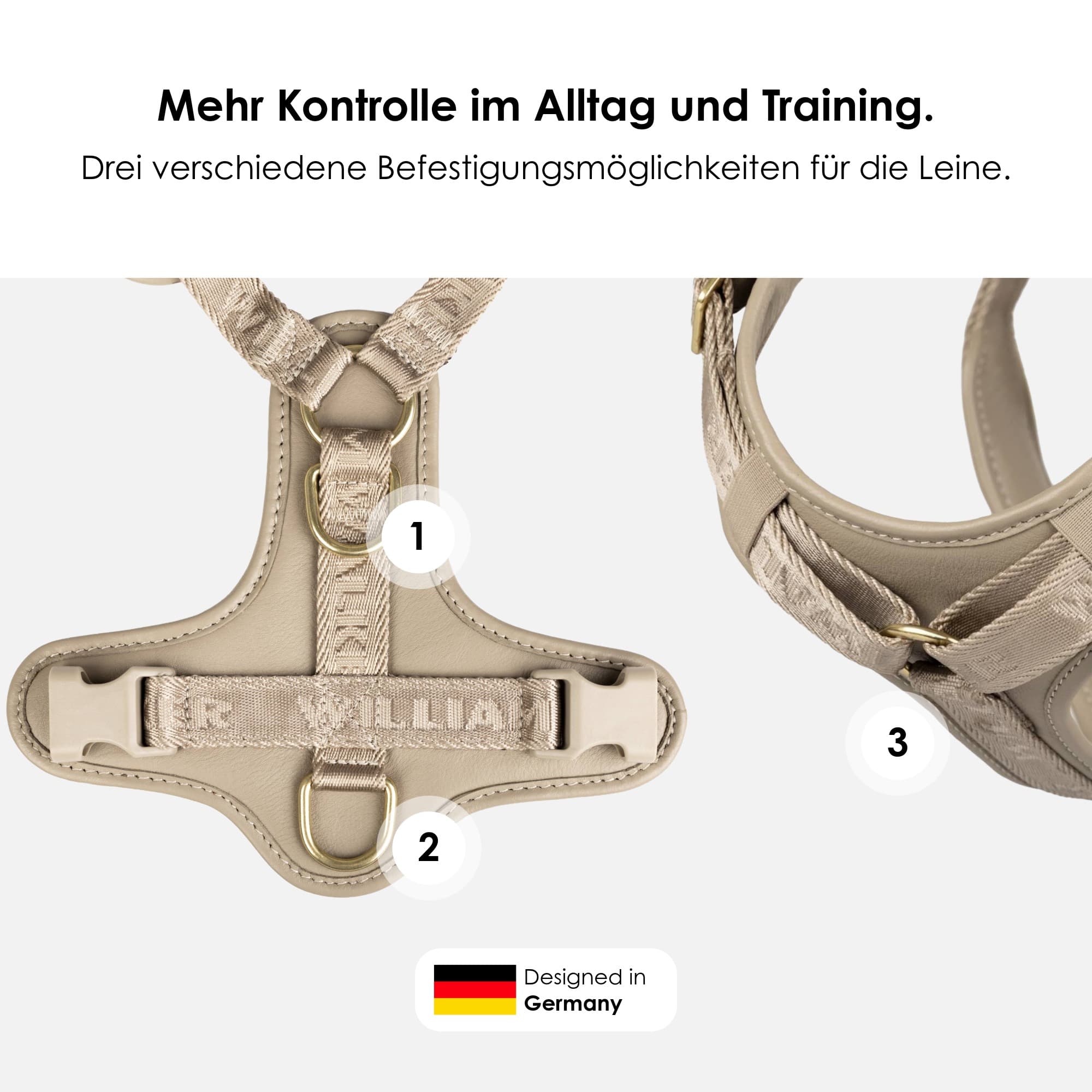 William Walker Leder Y-Hundegeschirr Plain