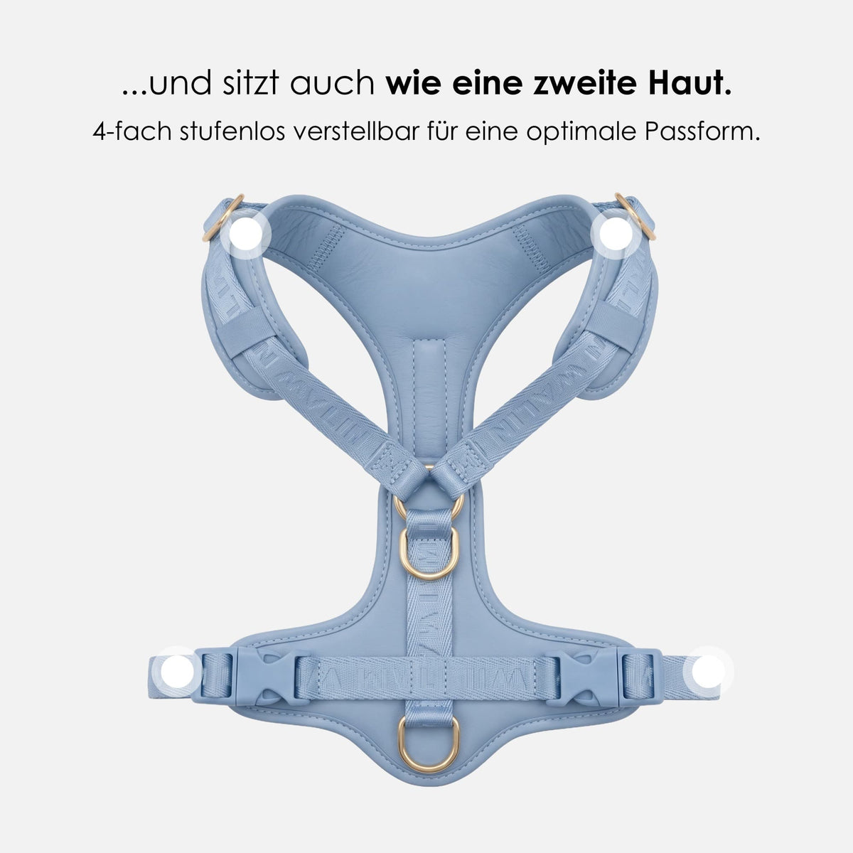 William Walker Hochwertiges Leder Y-Hundegeschirr Plain