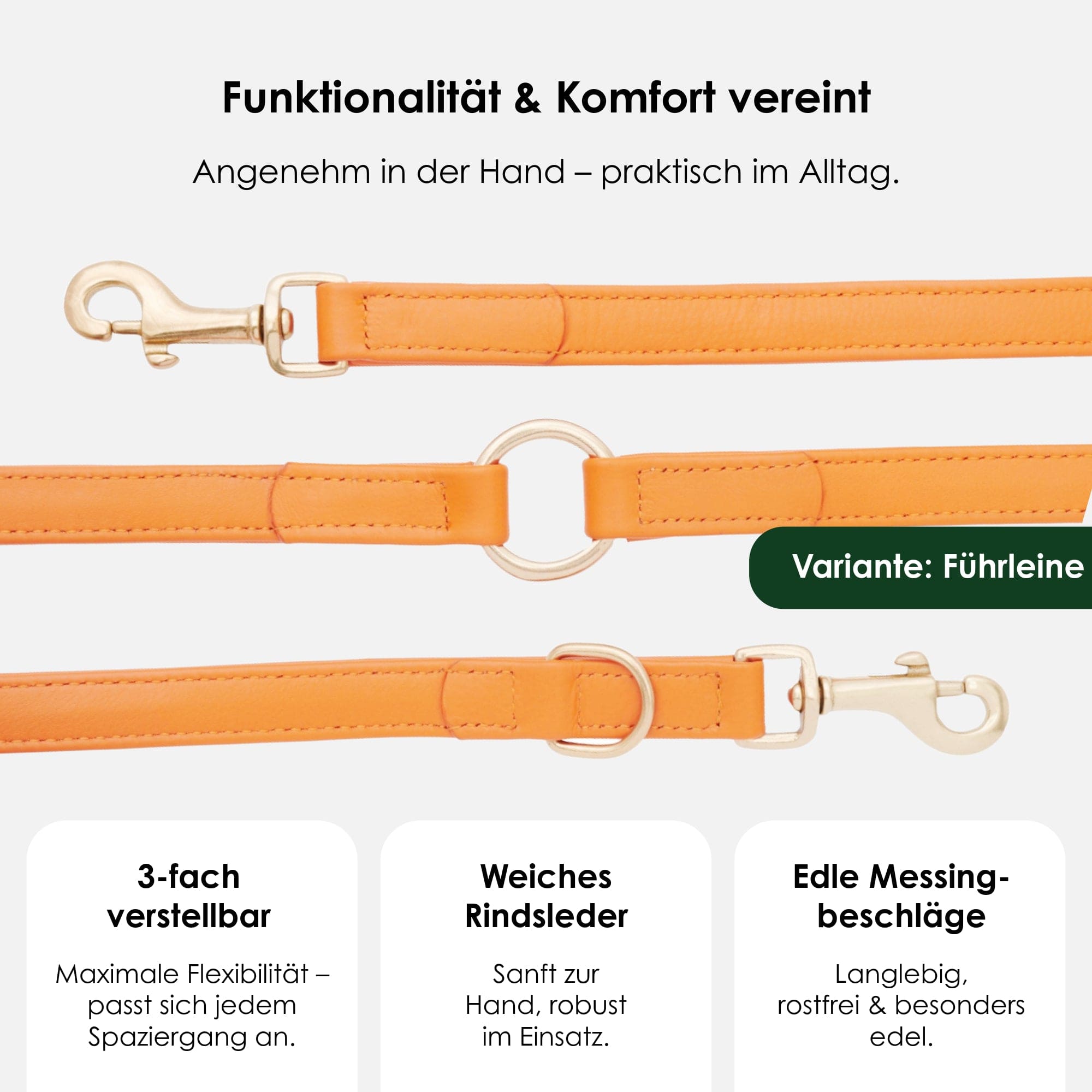 William Walker Hochwertige Leder Hundeleine Amber (Orange)