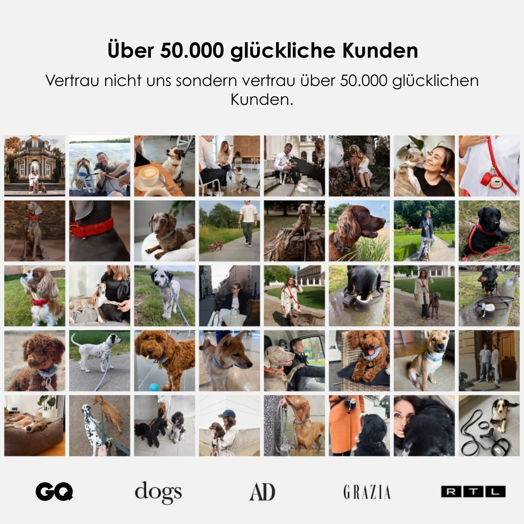 William Walker Hochwertige Leder Hundeleine Chili (Rot)