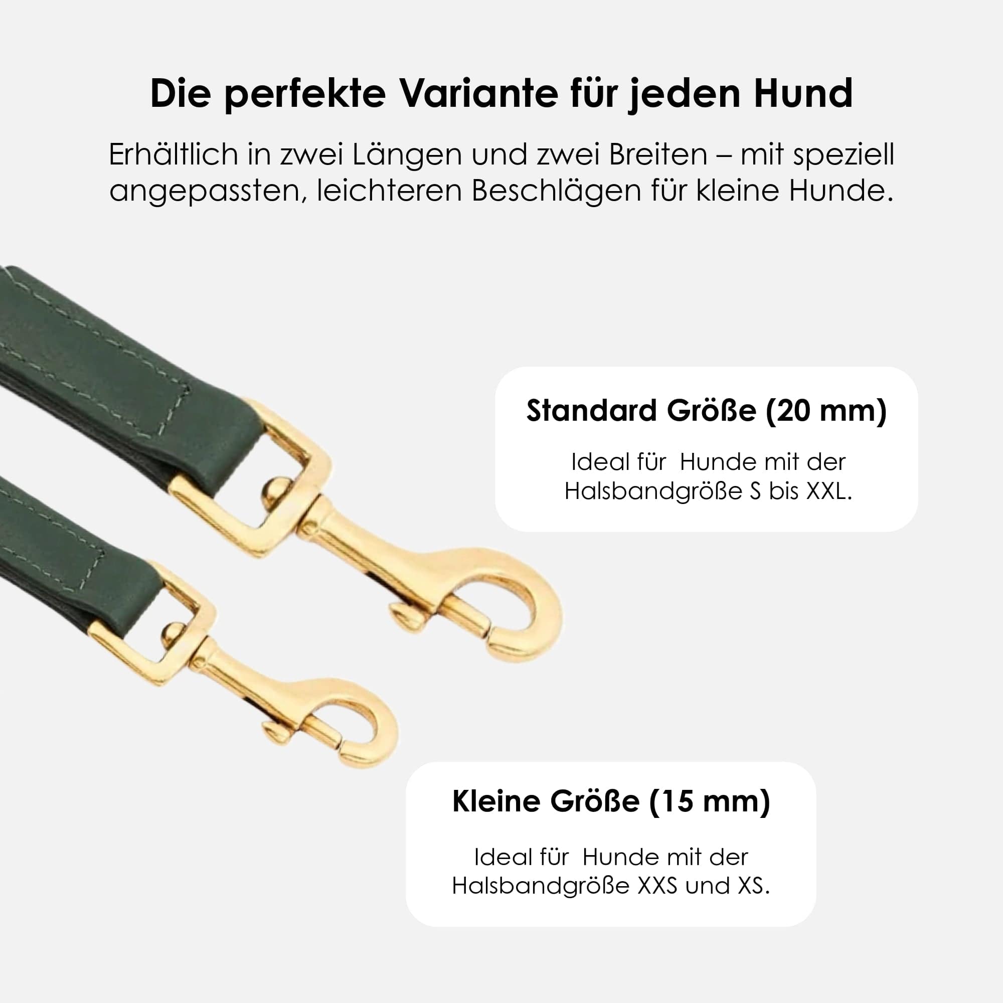 William Walker Hochwertige Leder Hundeleine Dark Moss (Waldgrün)