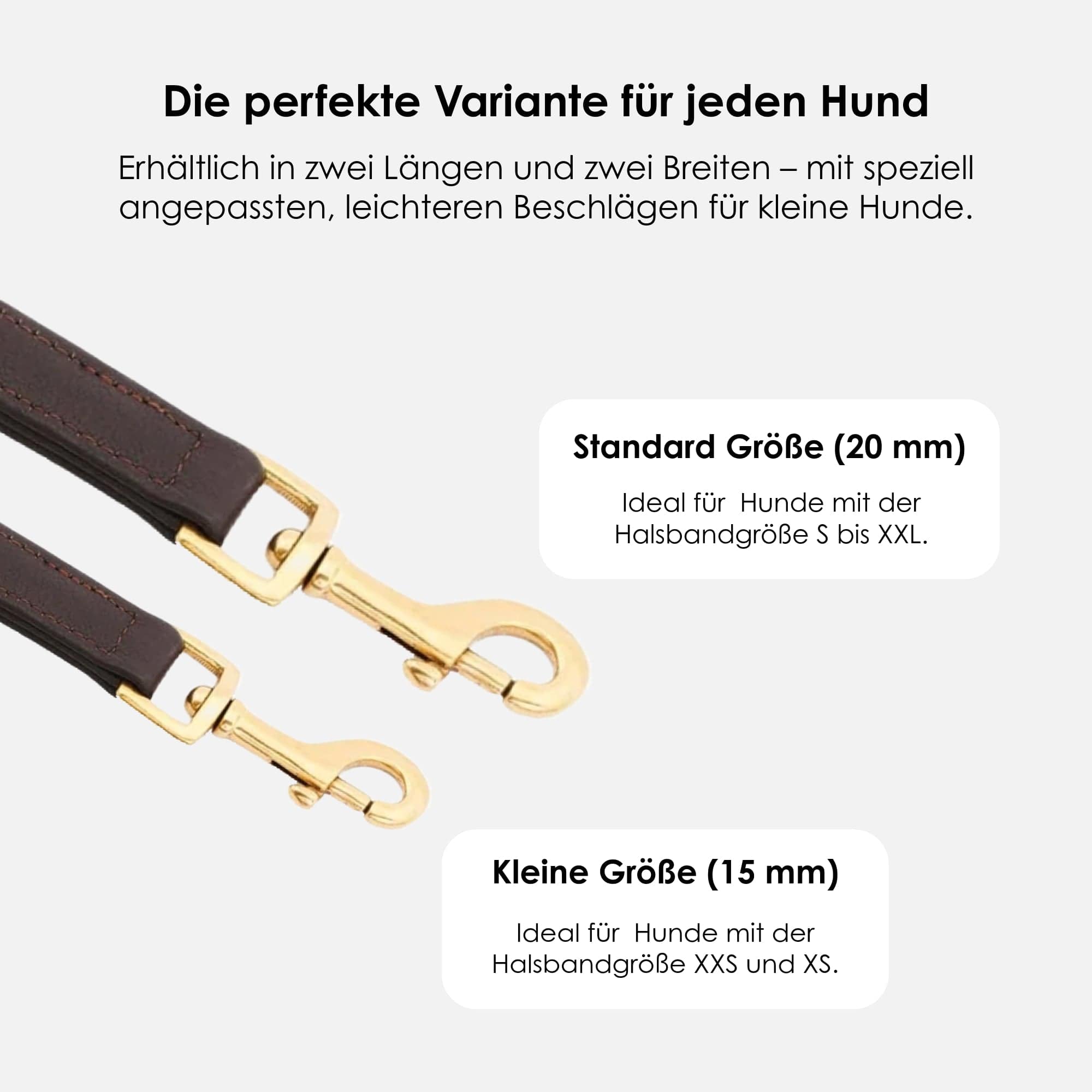 William Walker Hochwertige Leder Hundeleine Earth (Braun)