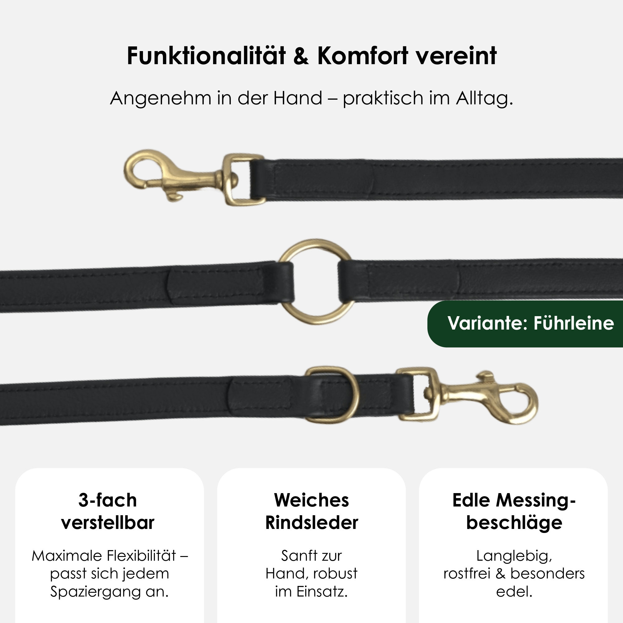 William Walker Hochwertige Leder Hundeleine Noir (Schwarz)