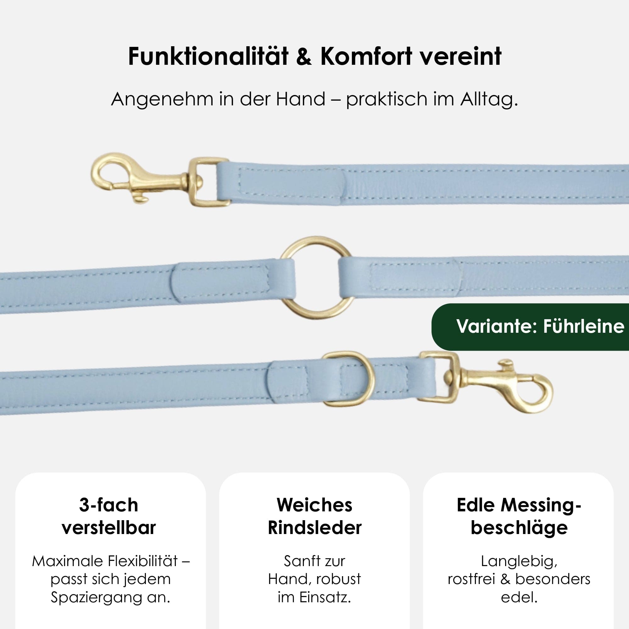 William Walker Hochwertige Leder Hundeleine Sky (Baby-Blau)