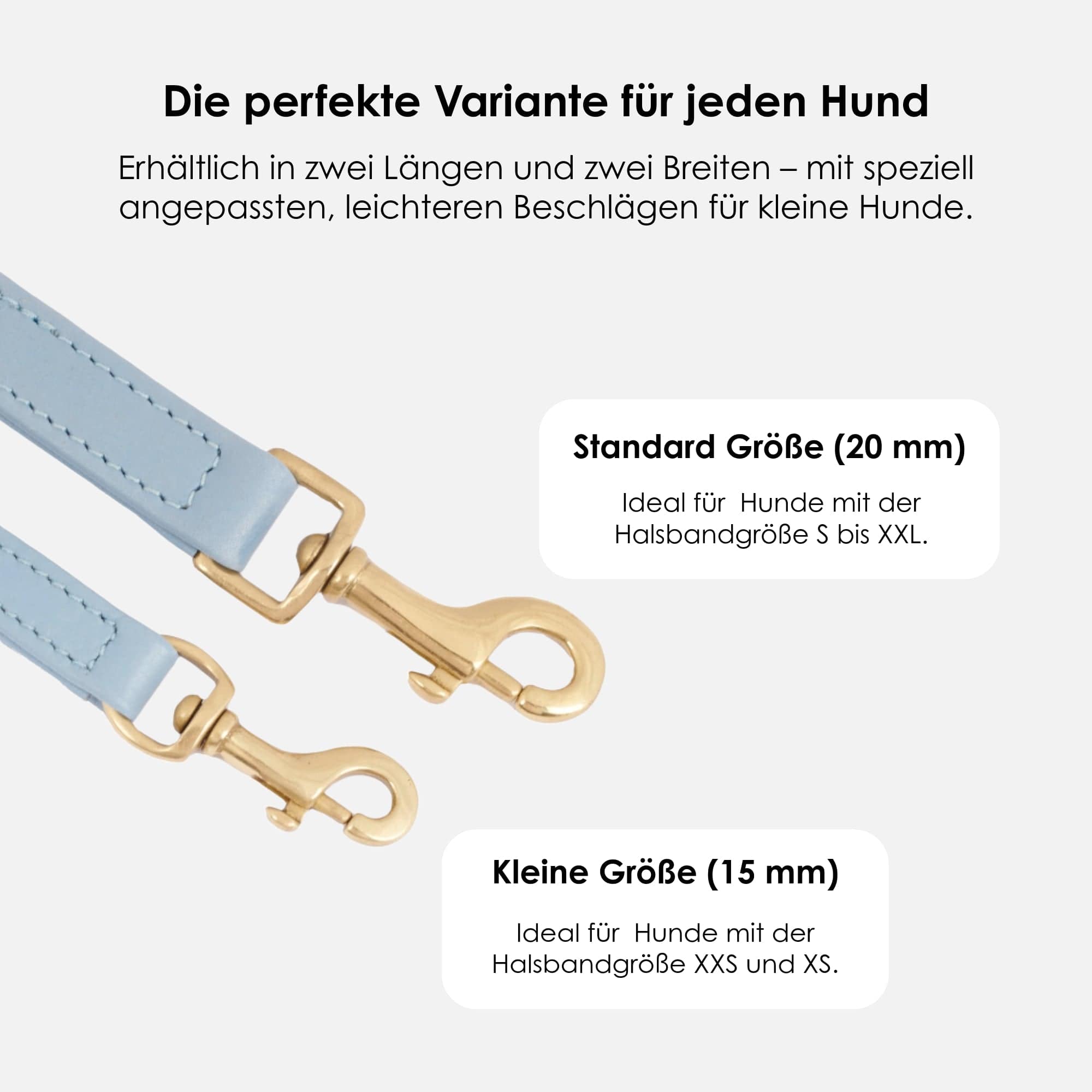 William Walker Hochwertige Leder Hundeleine Sky (Baby-Blau)