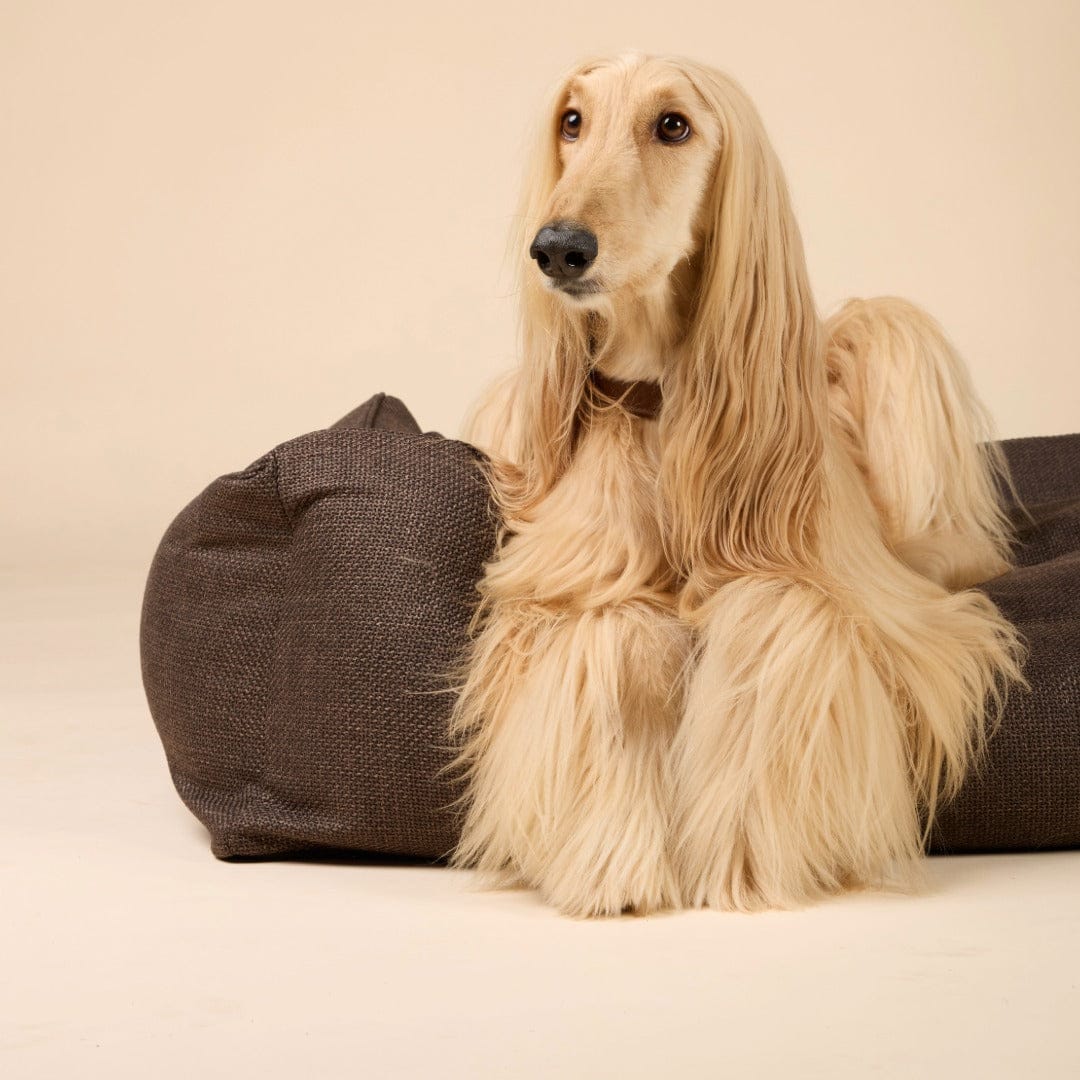 William Walker Orthopädisches Hundebett Luxe