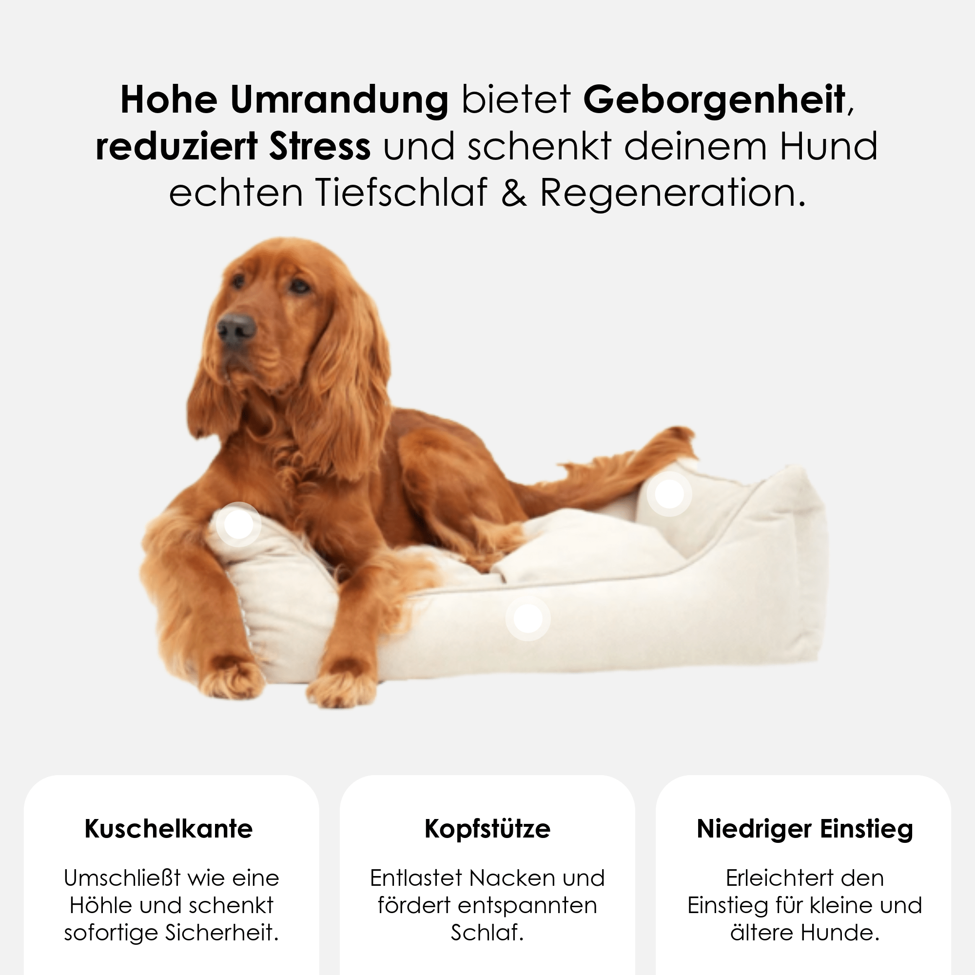 William Walker Orthopädisches Hundebett Sand (Beige)