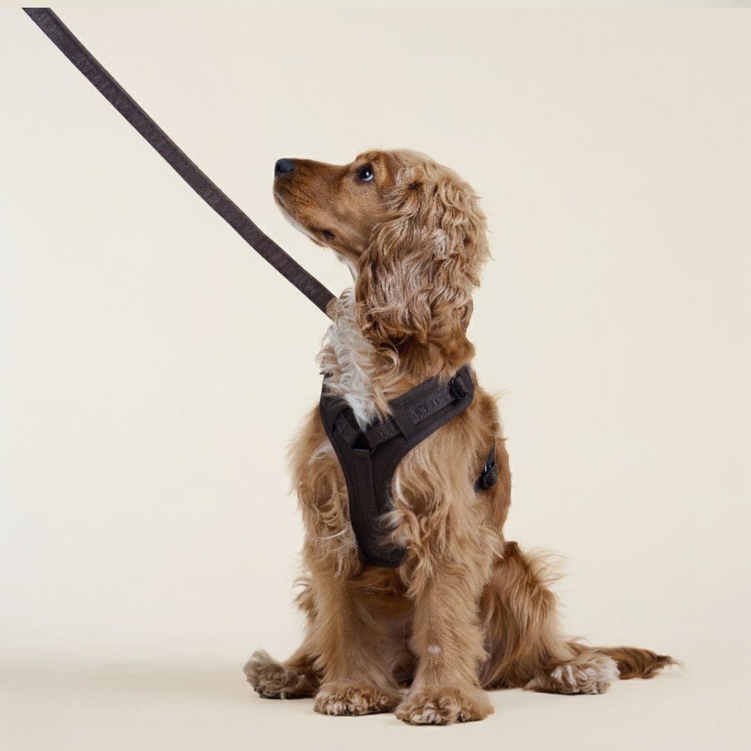 William Walker Hochwertiges Y-Hundegeschirr Earth (braun)