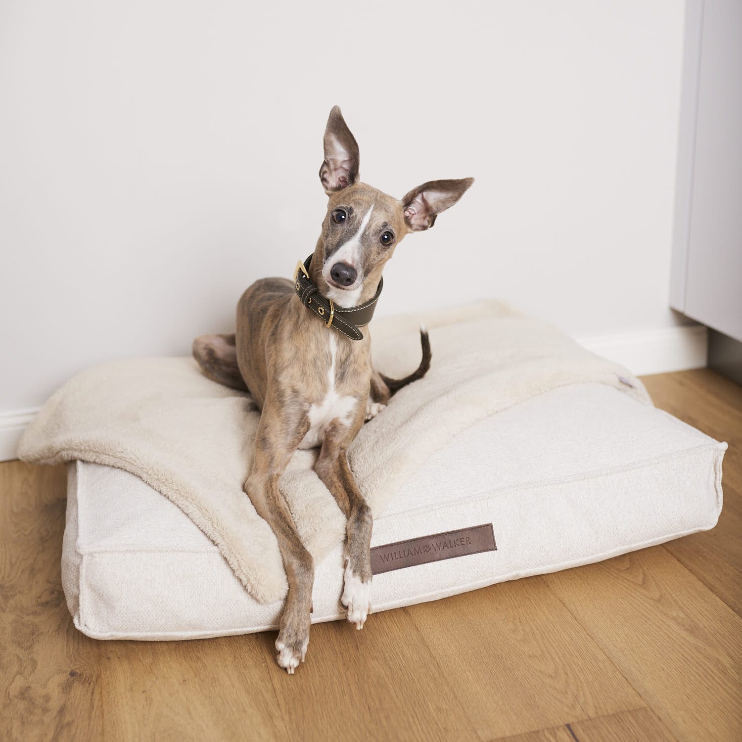 William Walker Sleep Bundle