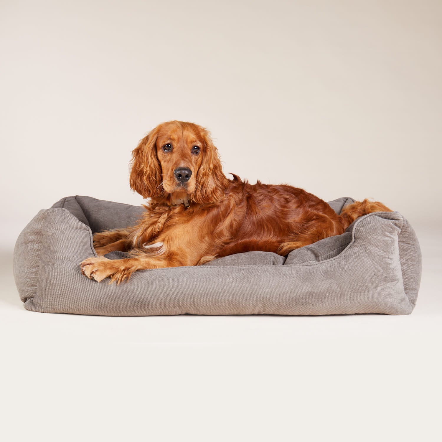 William Walker Orthopädisches Hundebett Grau