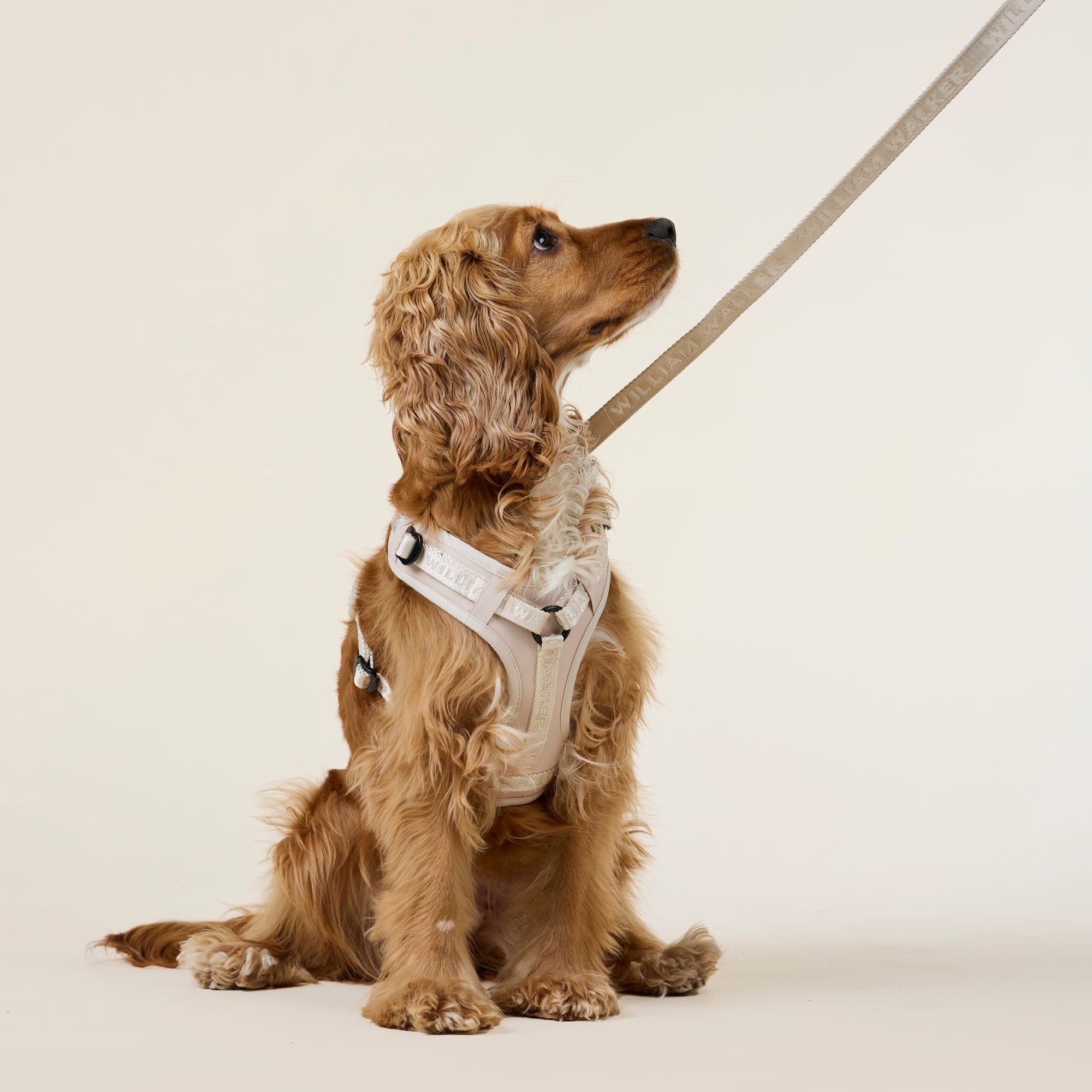 William Walker Jacquard Nylon Hundeleine Sand (beige)