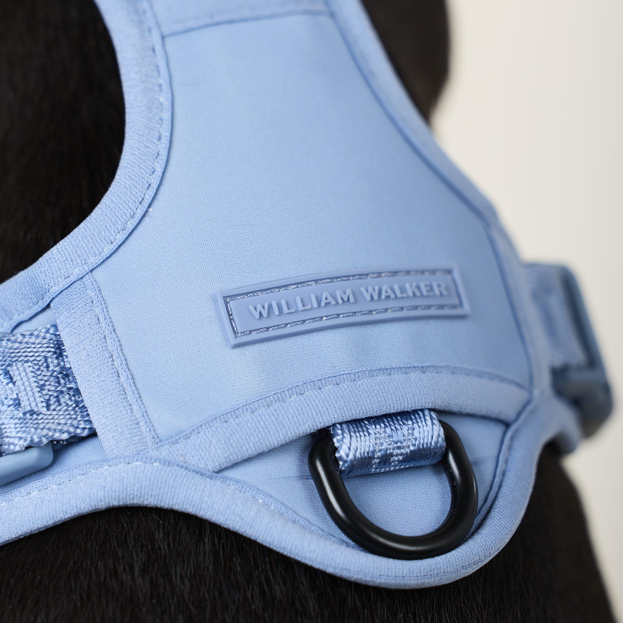 William Walker Hochwertiges Y-Hundegeschirr Sky (blau)