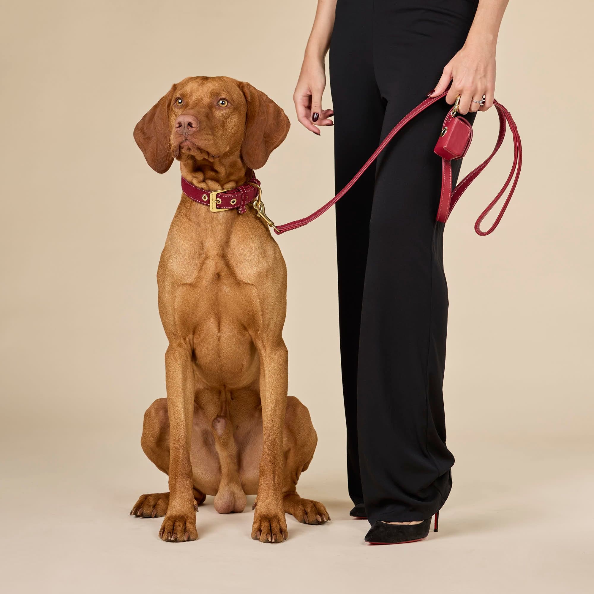 William Walker Hochwertige Wildleder Hundeleine Lambrusco (Bordeauxrot)