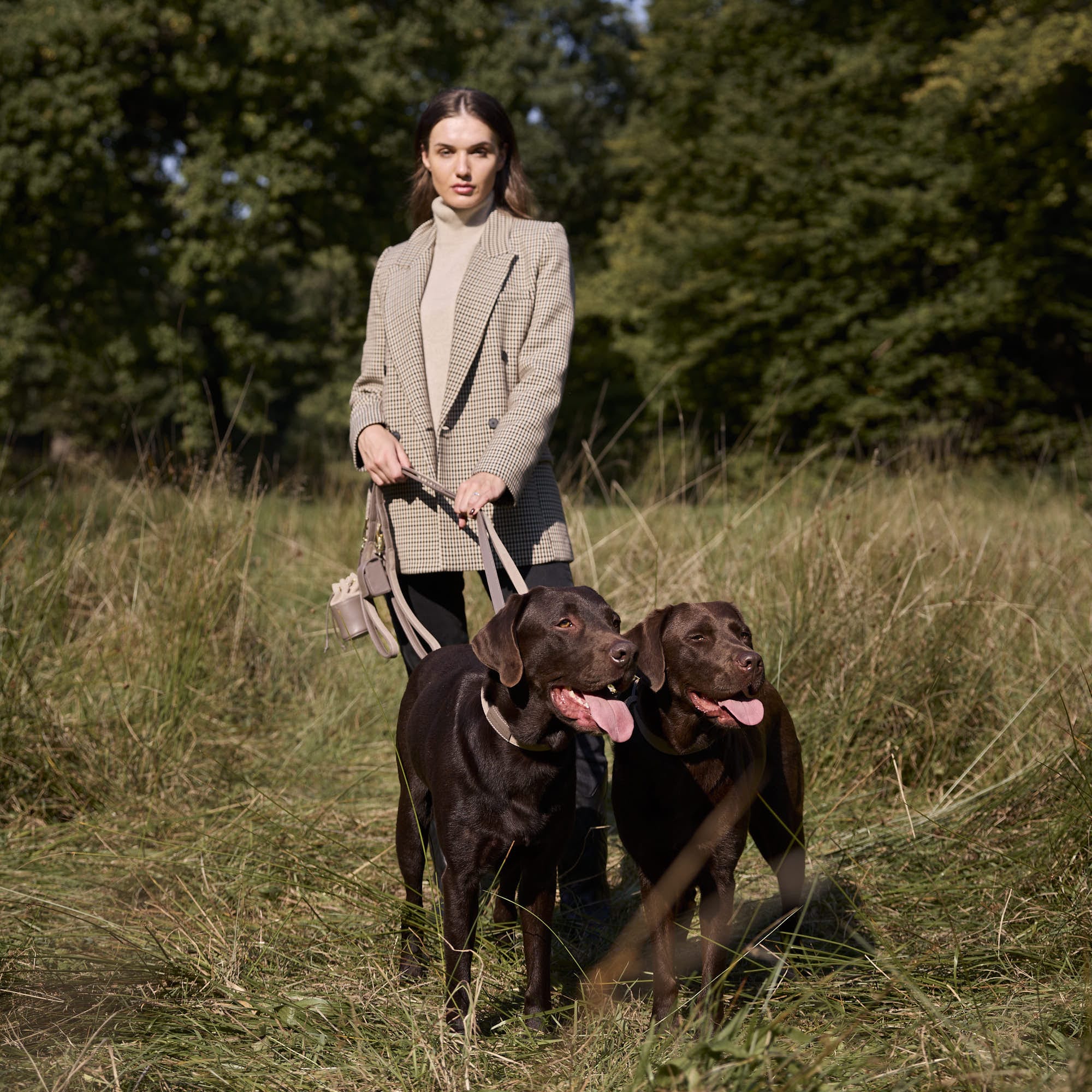 William Walker Wildleder Hundehalsband Pebble (Taupe)