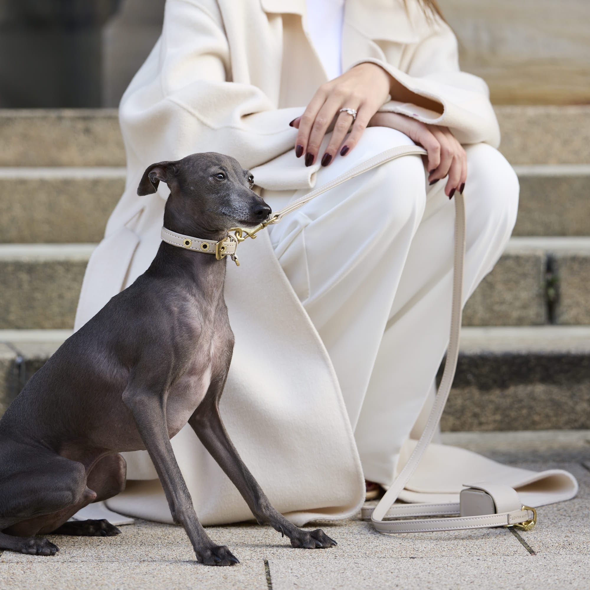 William Walker Glattleder Hundehalsband Almond