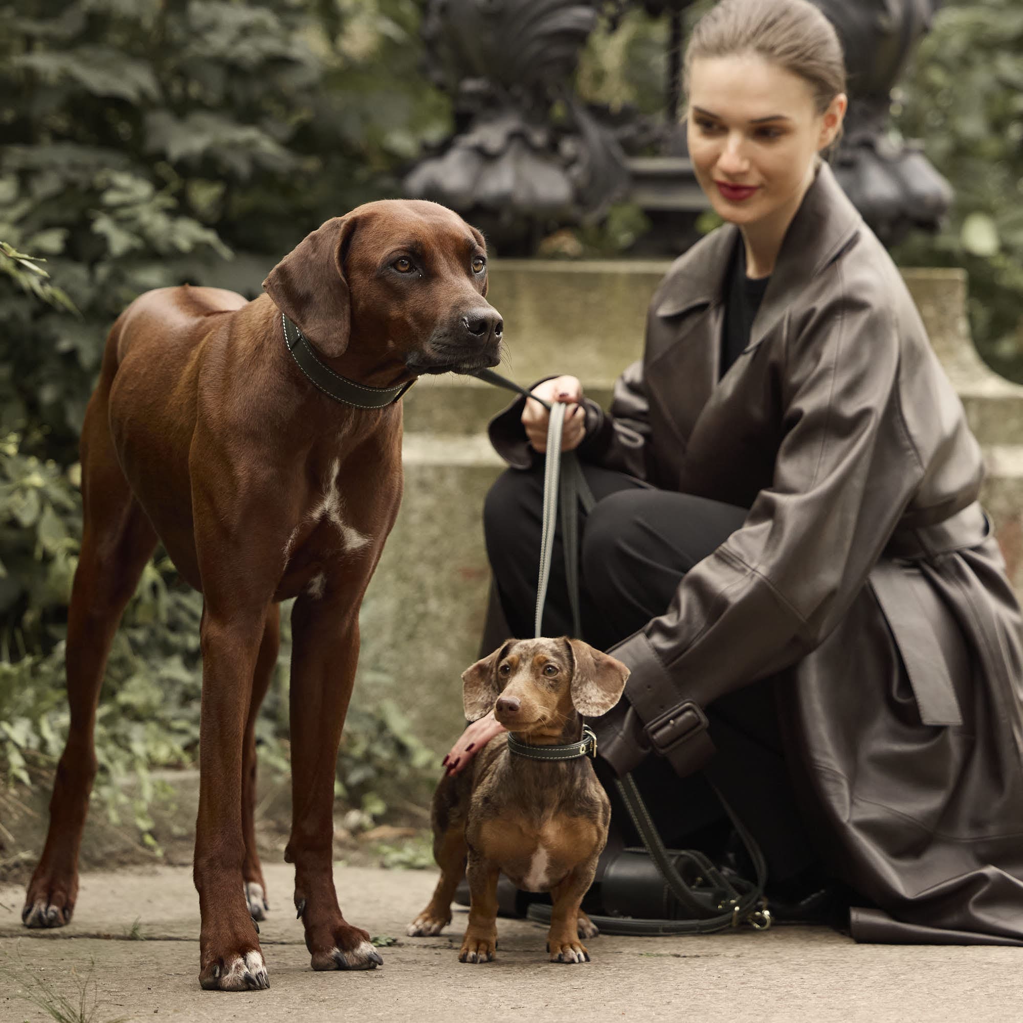 William Walker Glattleder Hundehalsband Forest