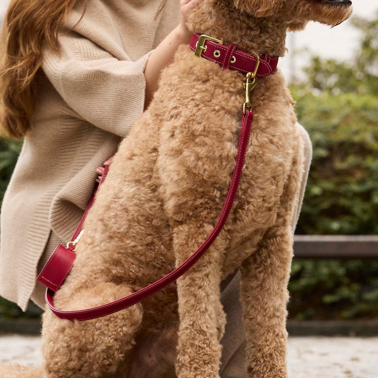 William Walker Hochwertige Wildleder Hundeleine Lambrusco (Bordeauxrot)