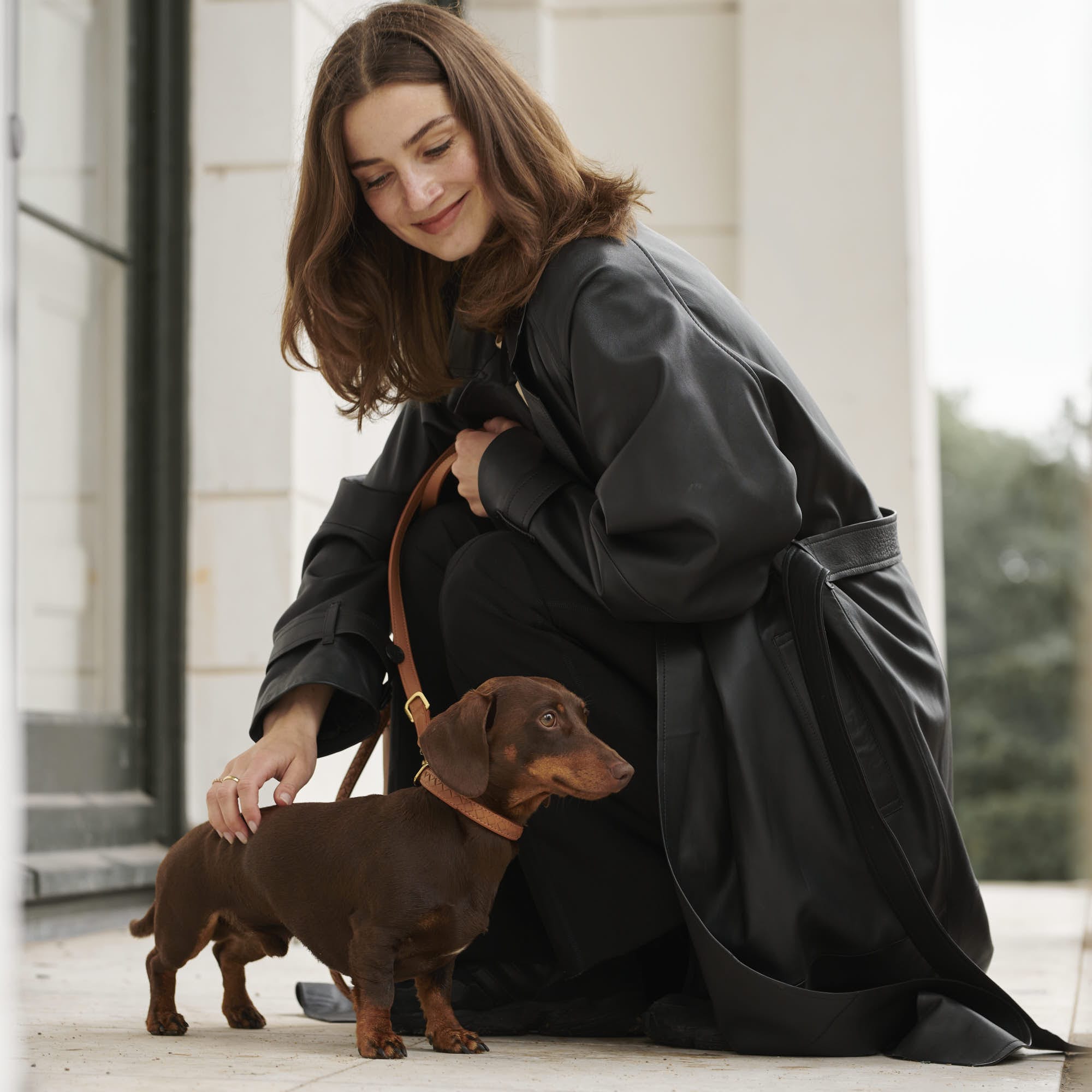 William Walker Leder Hundehalsband Prestige Caramel