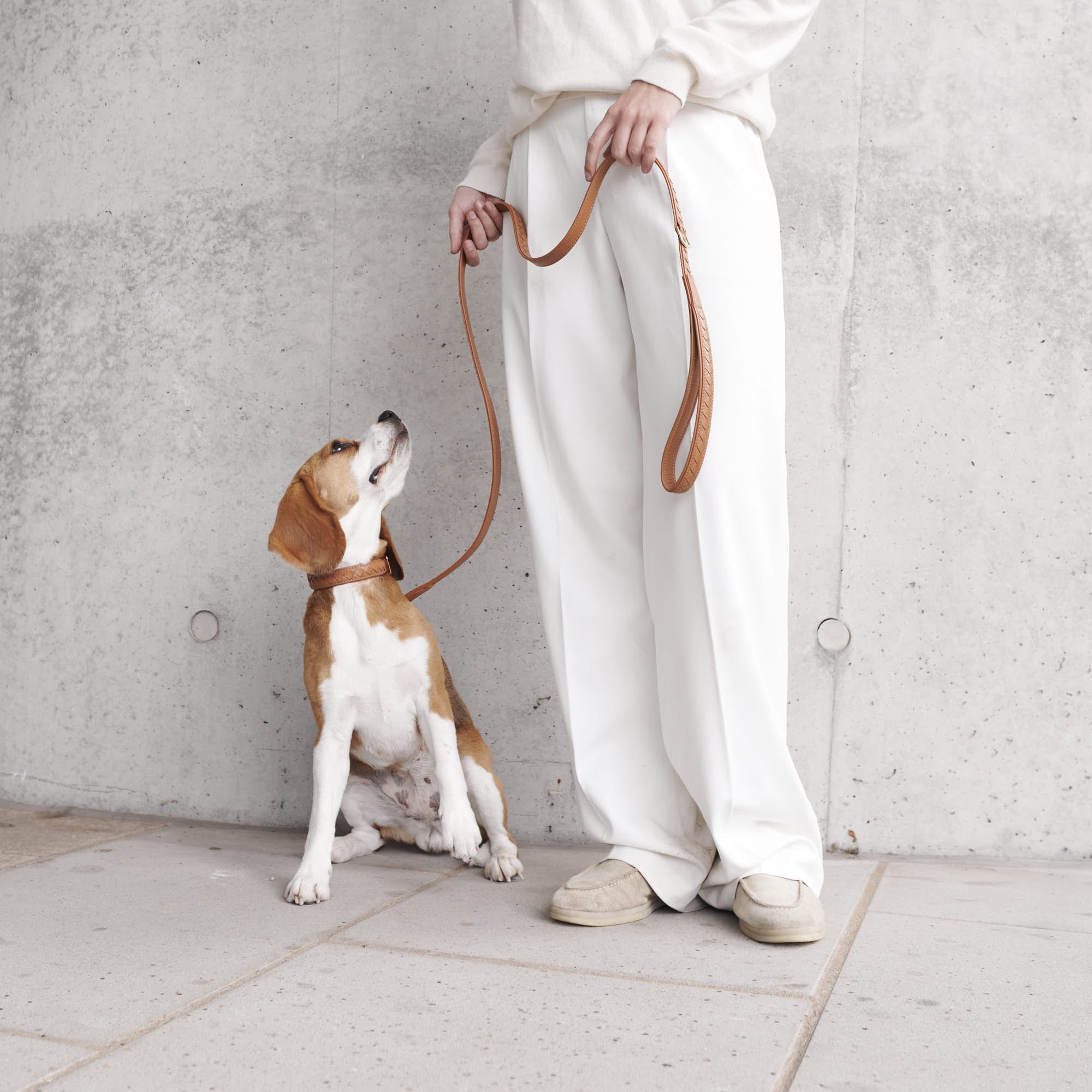 William Walker Leder Hundehalsband Prestige Caramel